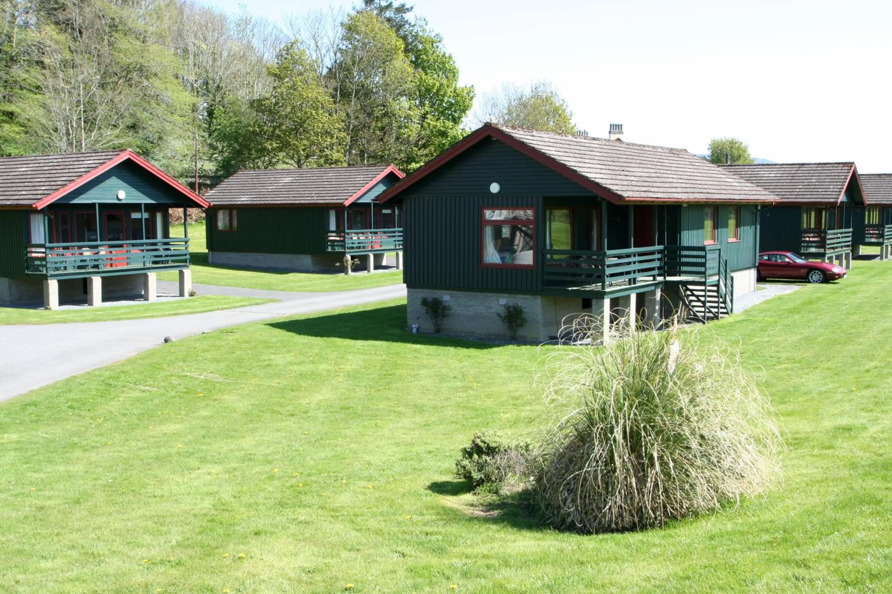 Day in Logierait Pine Lodges