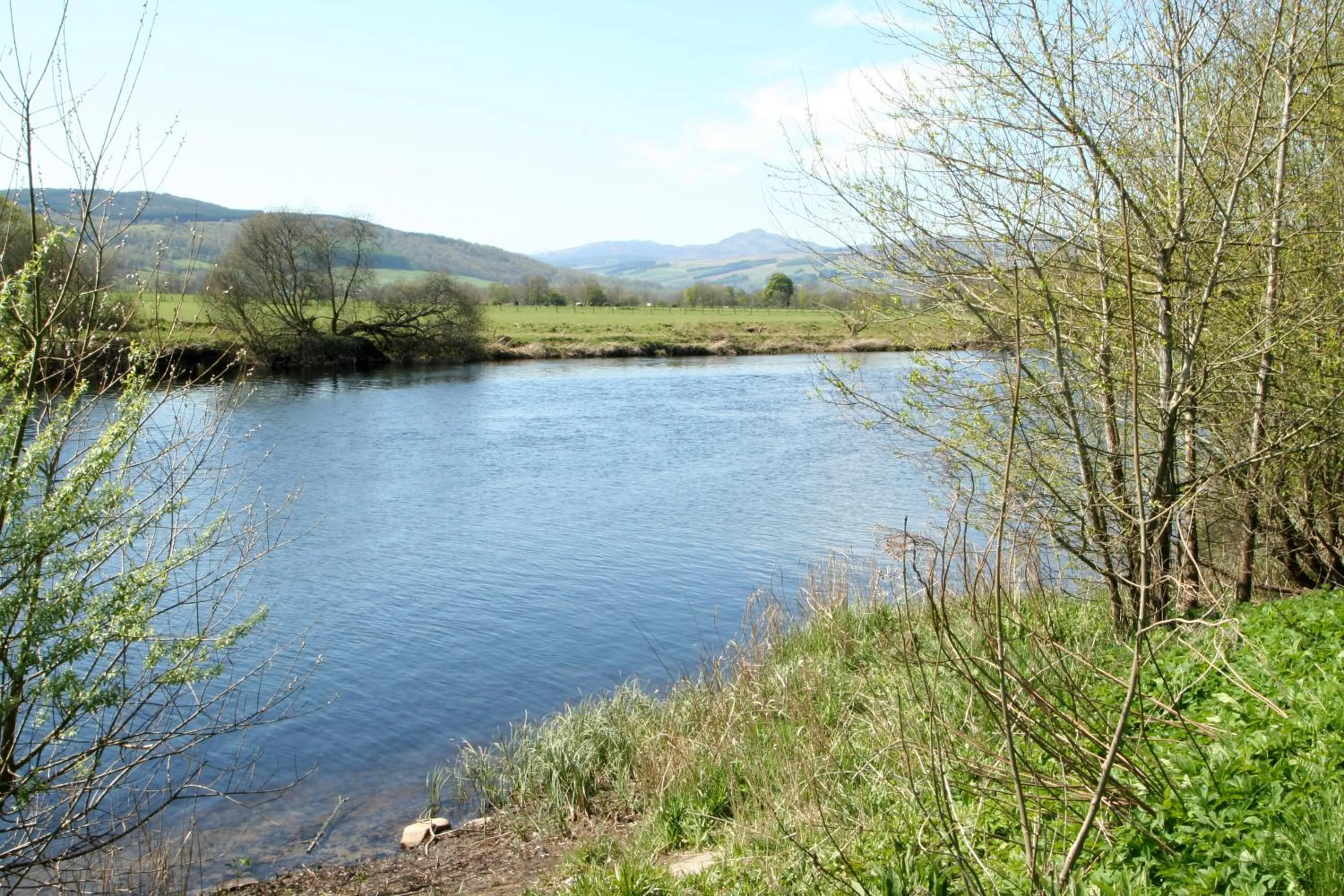 Day in Logierait Pine Lodges