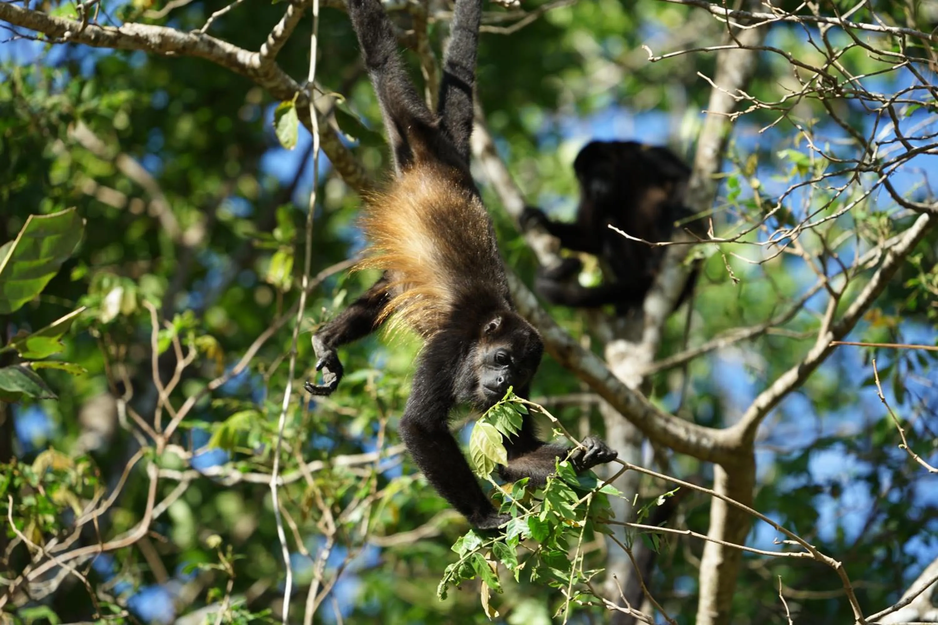 Day in Villas Welcome to Heaven