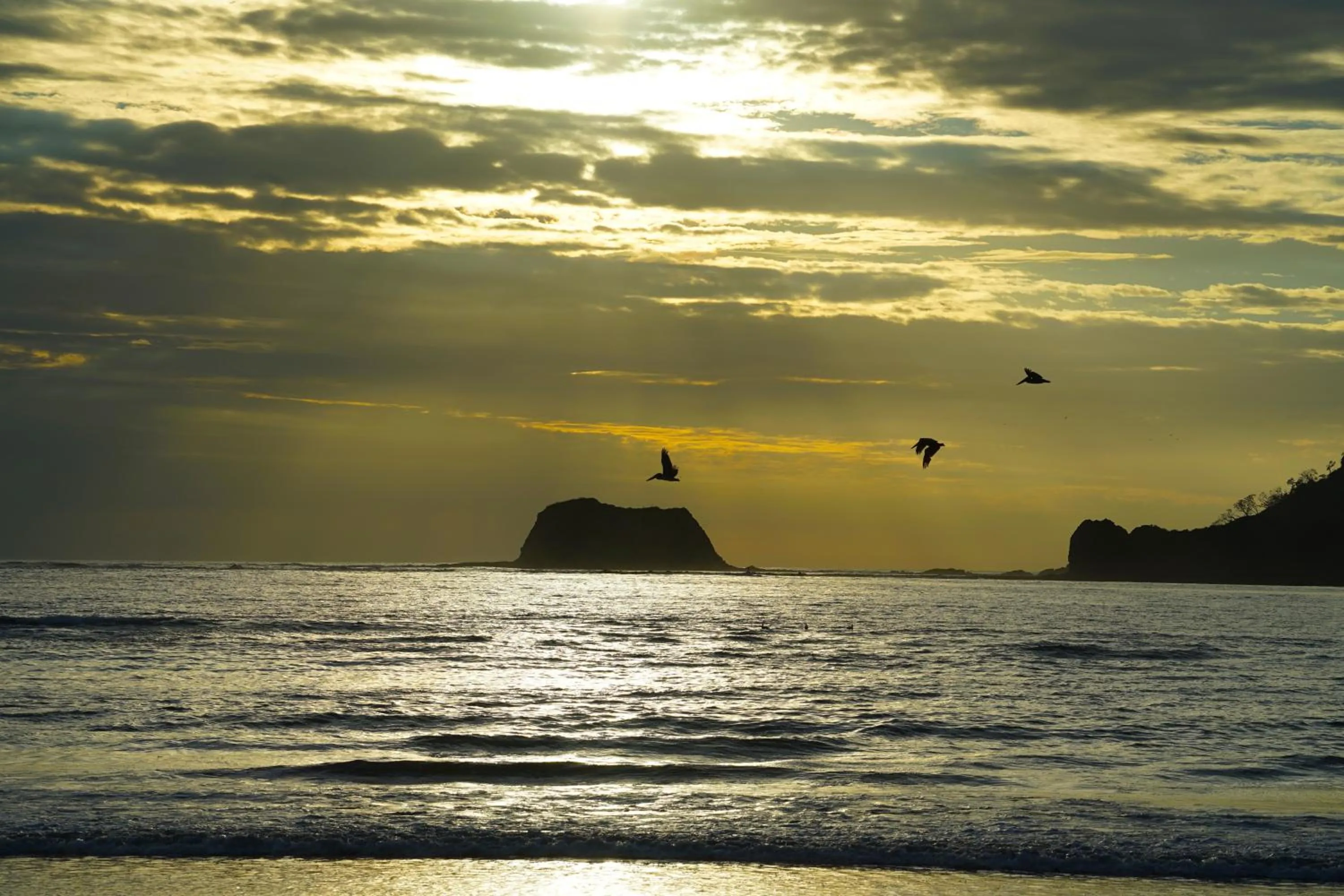 Beach in Villas Welcome to Heaven