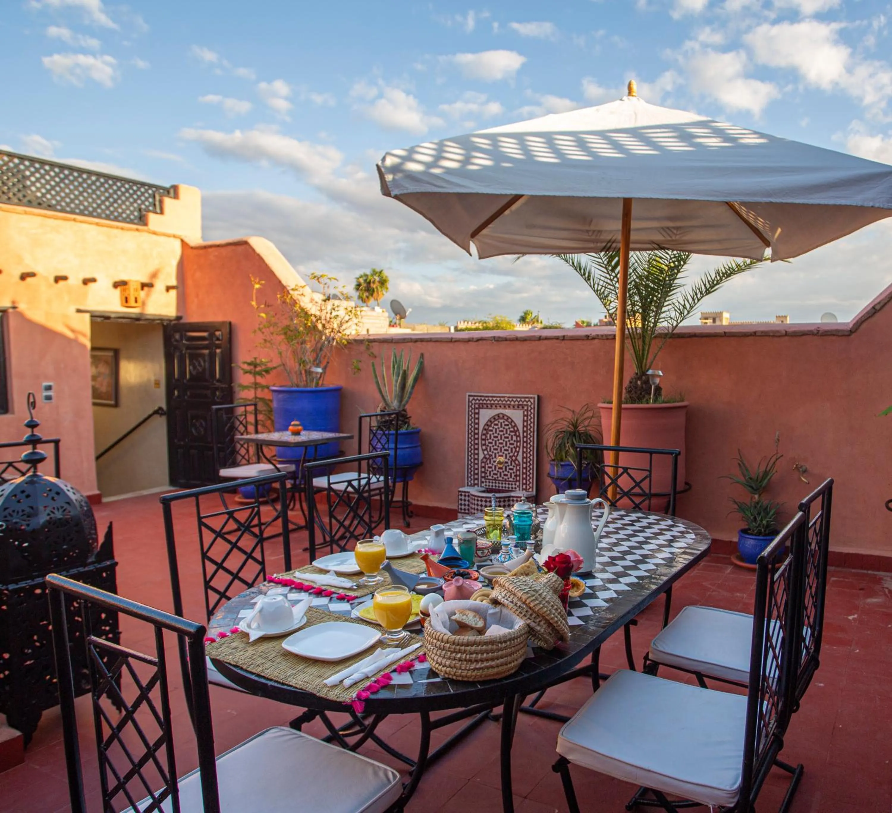 Garden in Riad Christina
