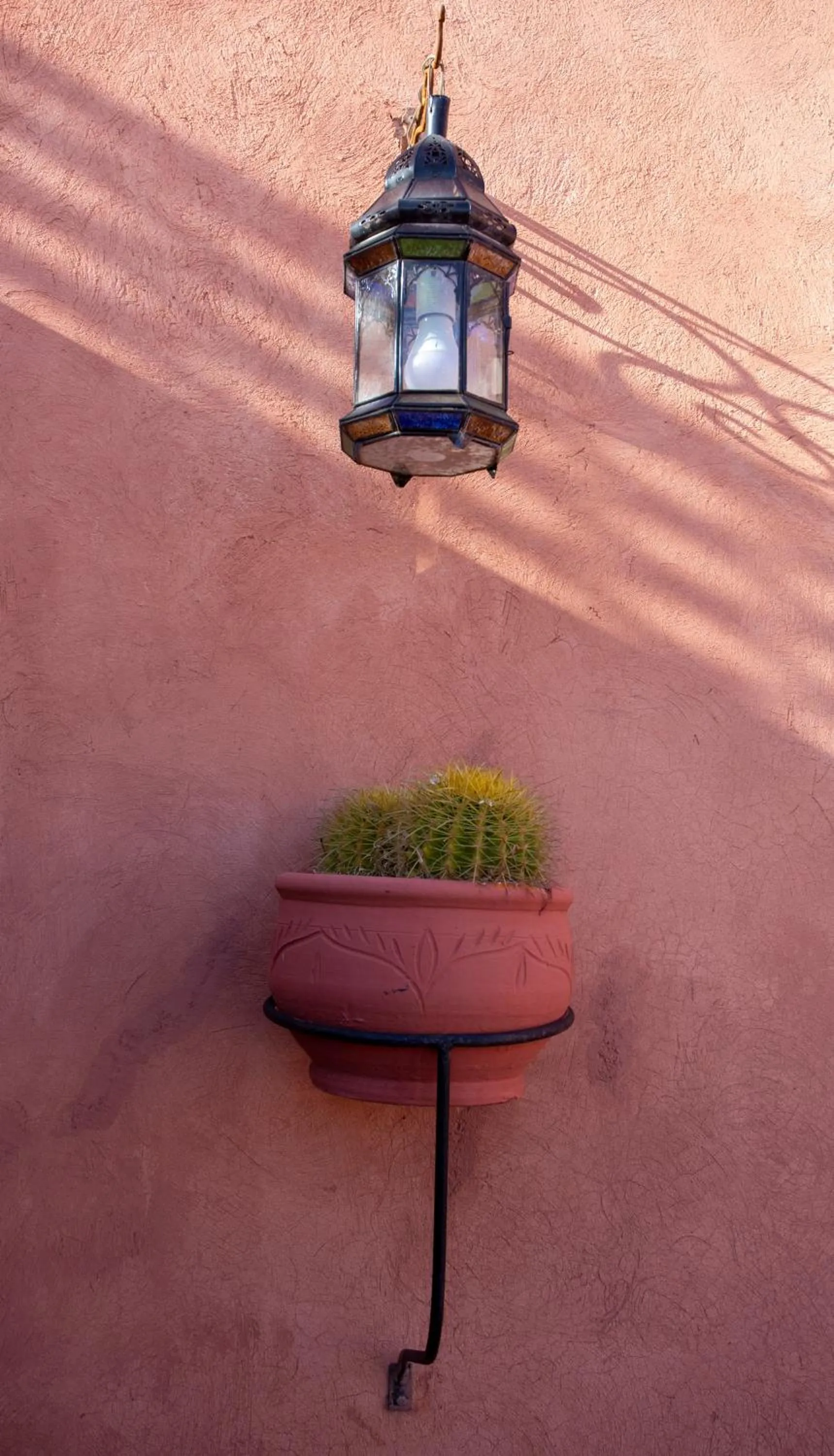 Garden in Riad Christina