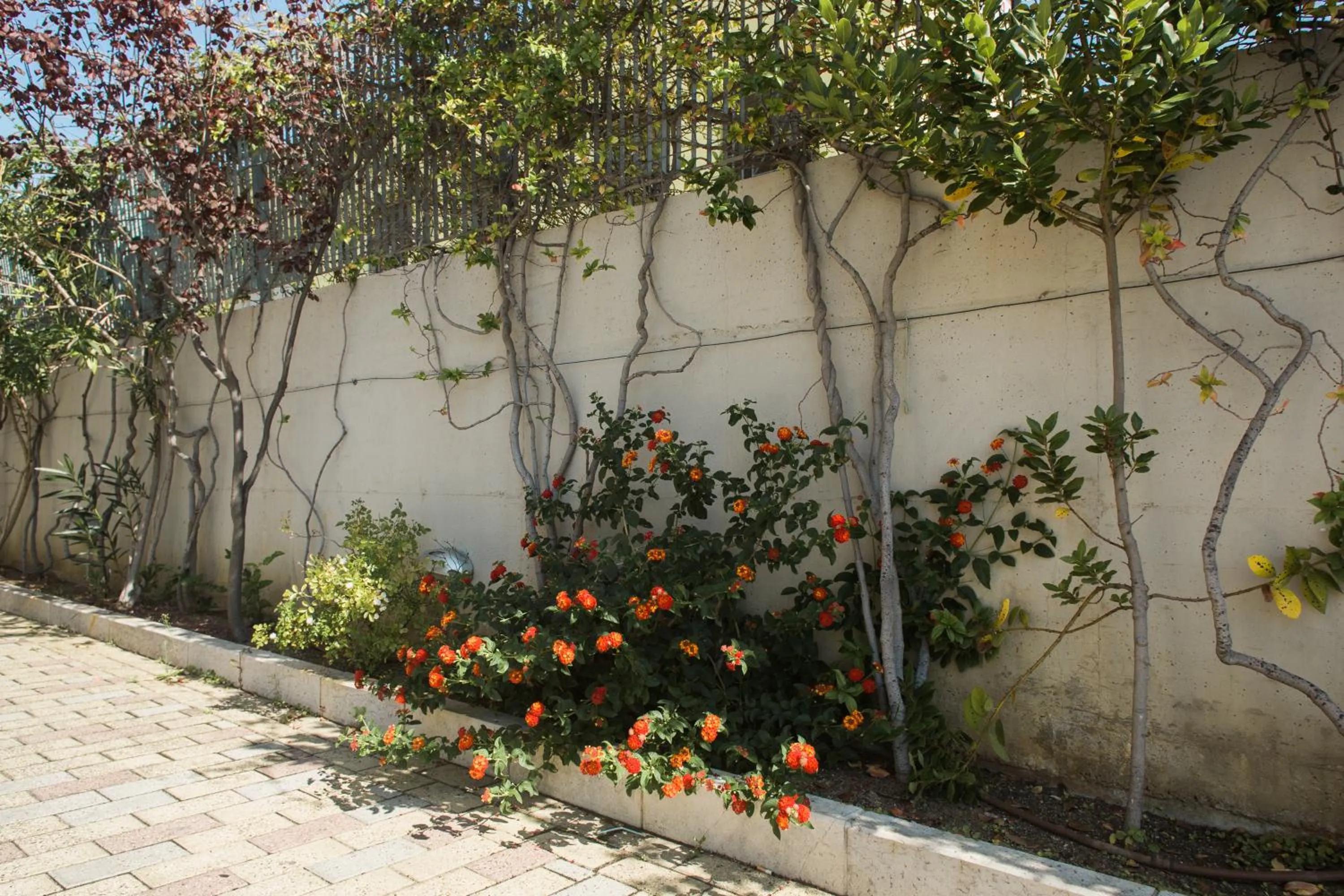 Property building in Il Crusco