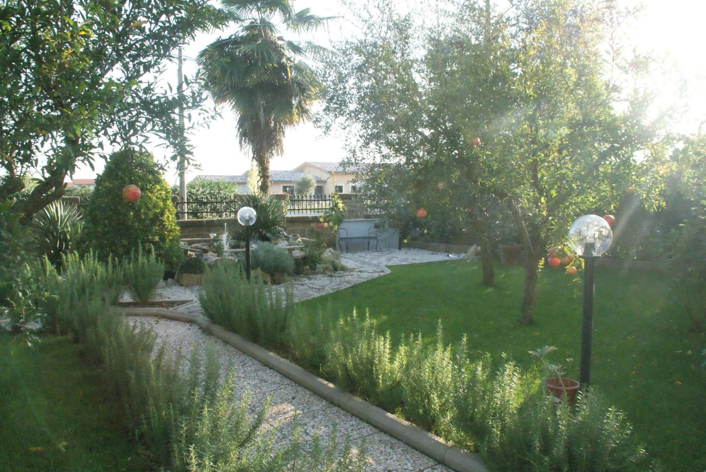 Garden in Bed&Breakfast degli ulivi