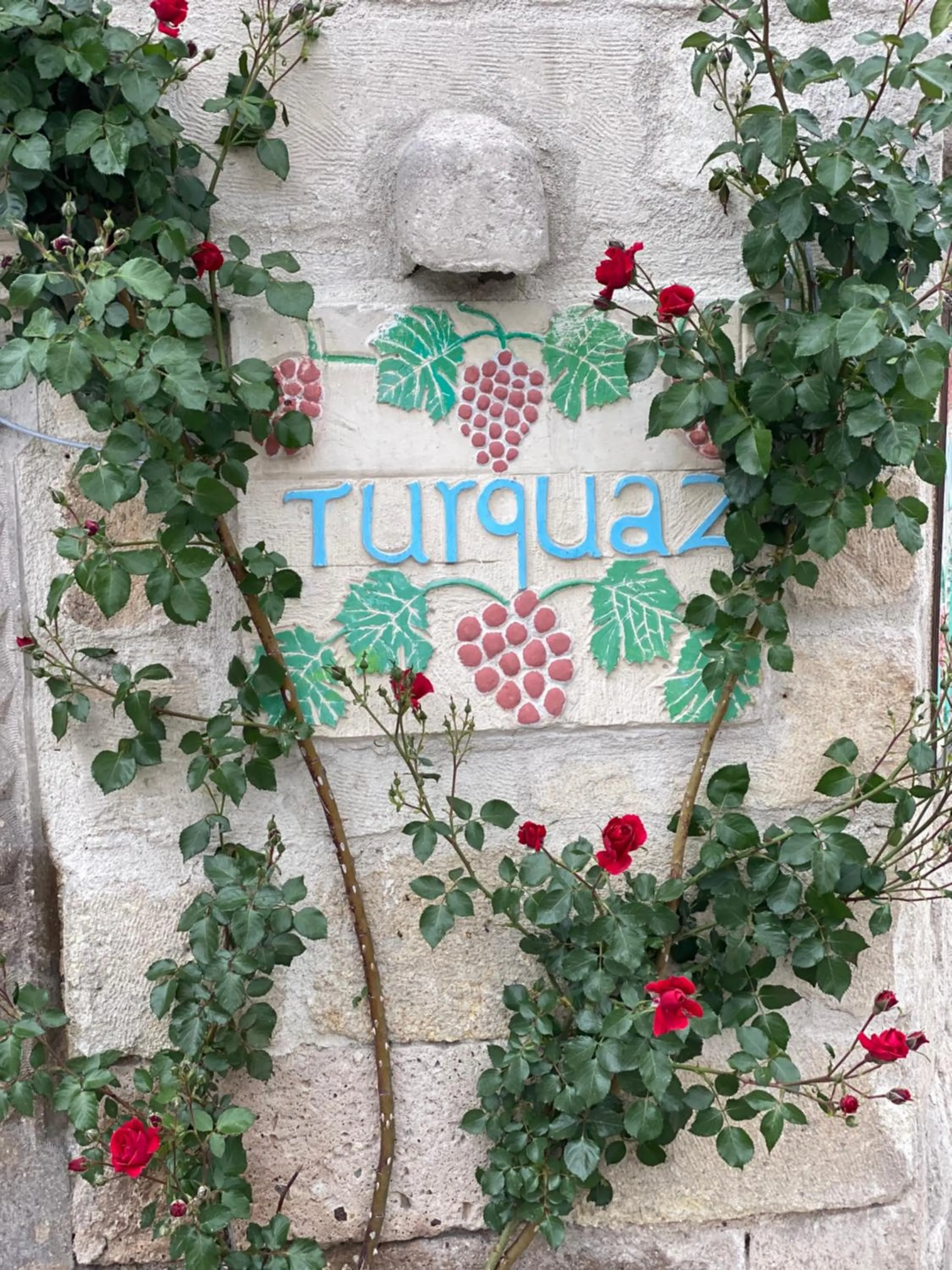 Property logo or sign in Turquaz Cave Hotel