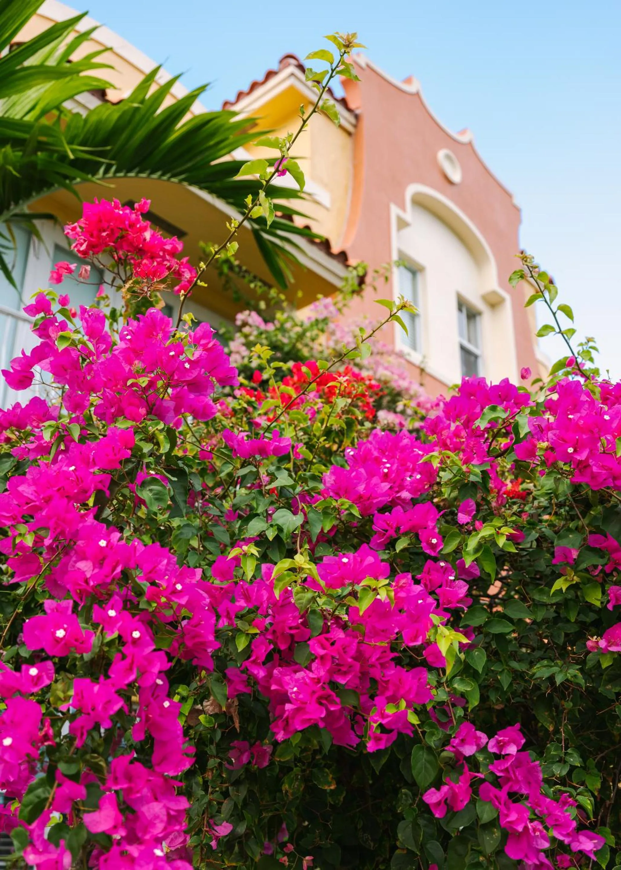 The Circ powered by Sonder