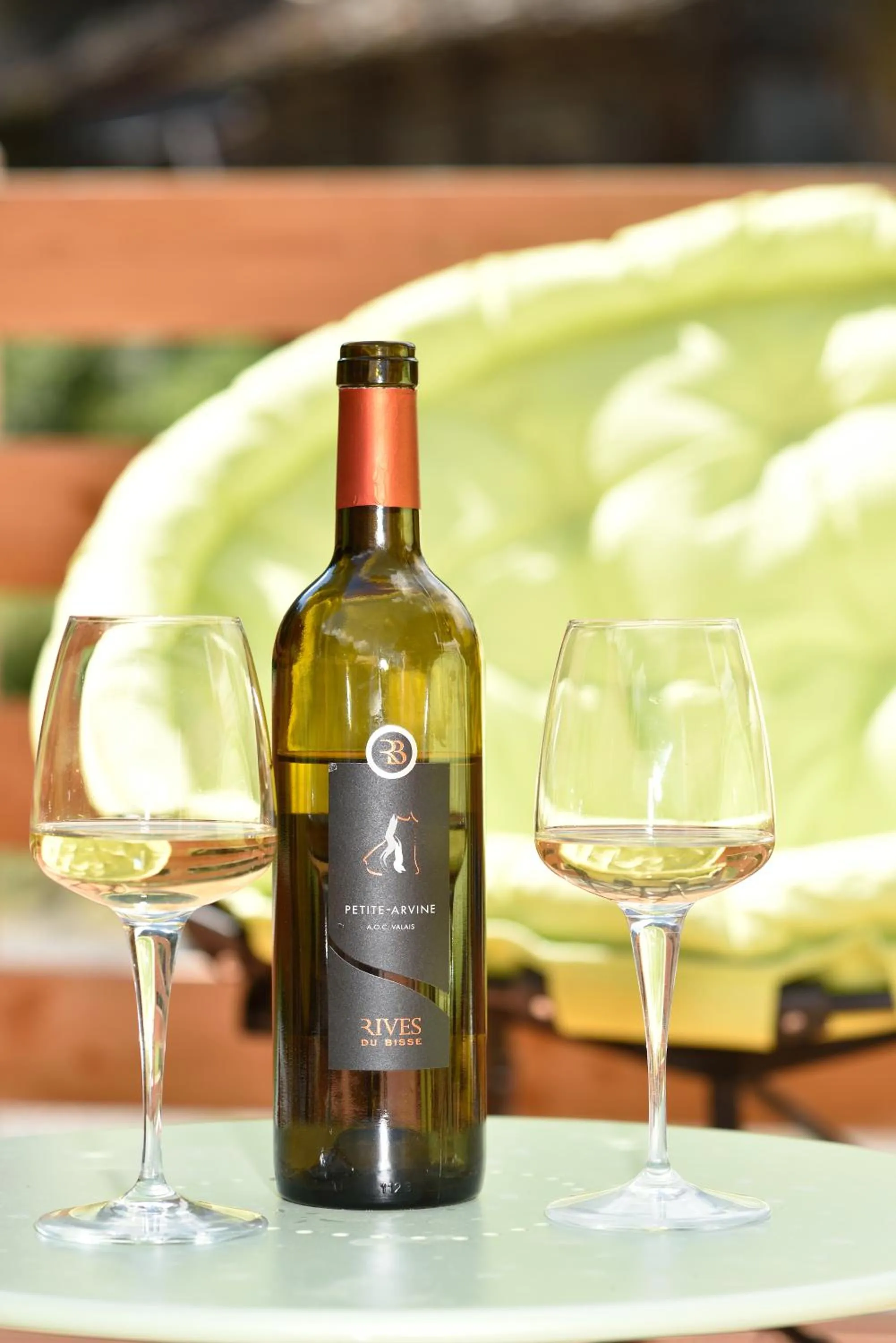 Balcony/Terrace in Hotel Les Mélèzes