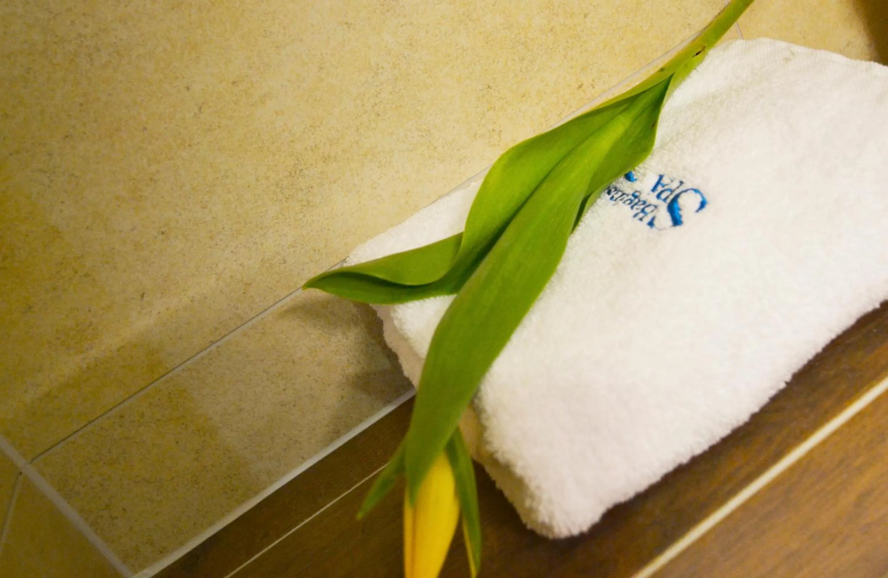 Bathroom in Bagińscy Spa