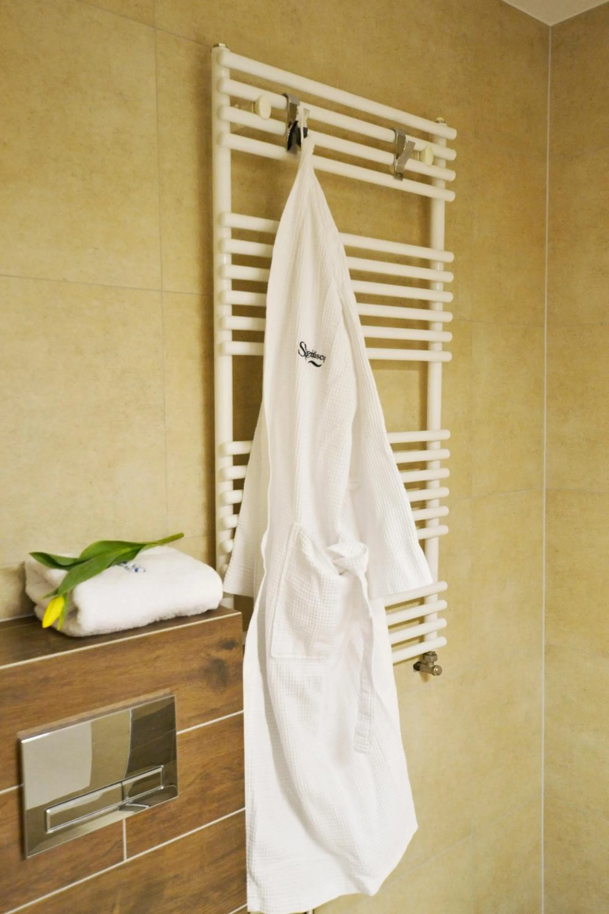 Bathroom in Bagińscy Spa