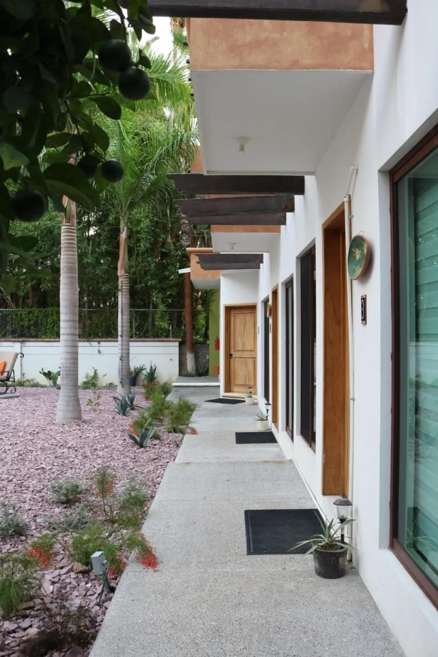 Garden in Casa Bugambilias