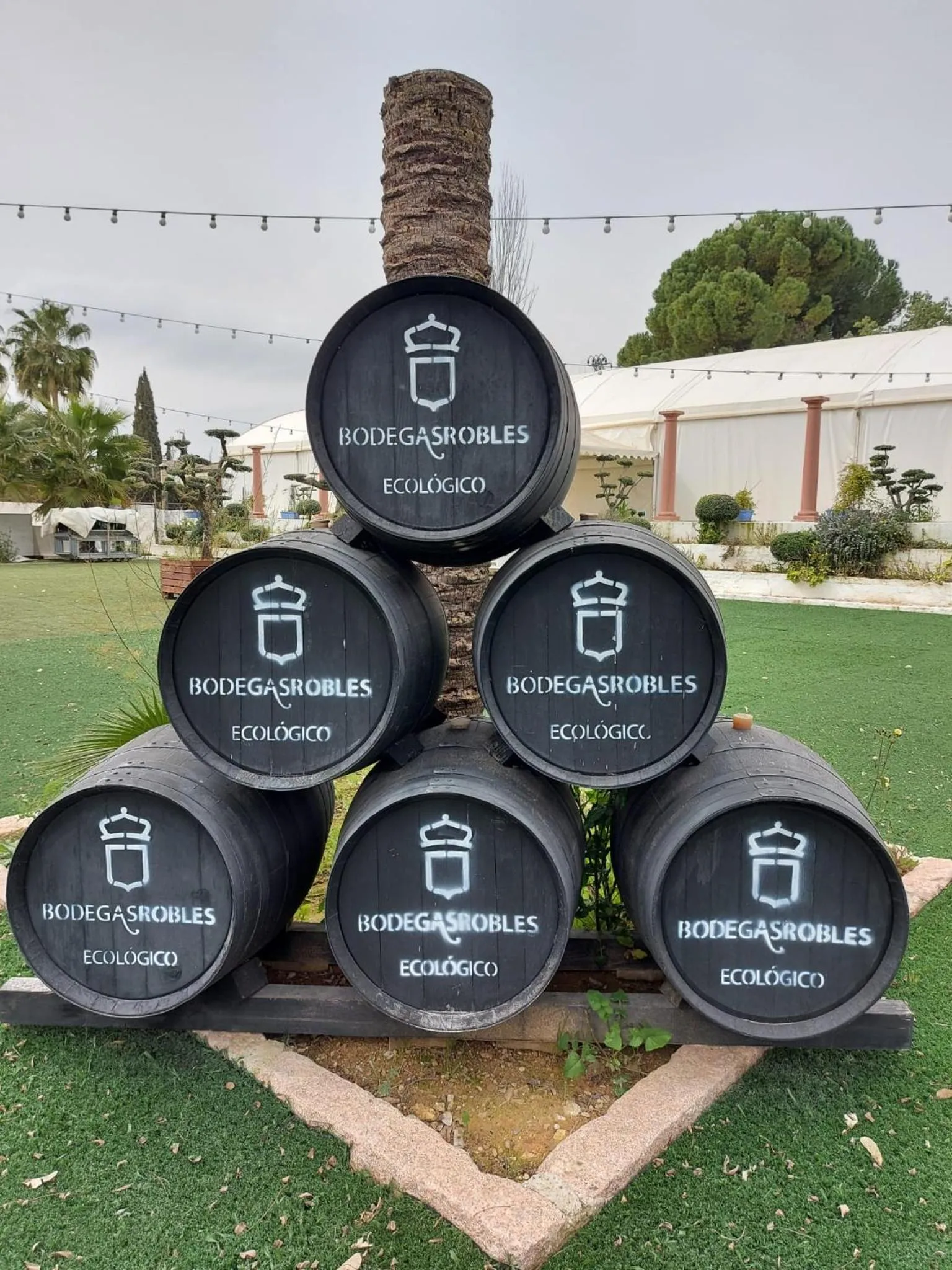 Garden in Hotel Don Gonzalo