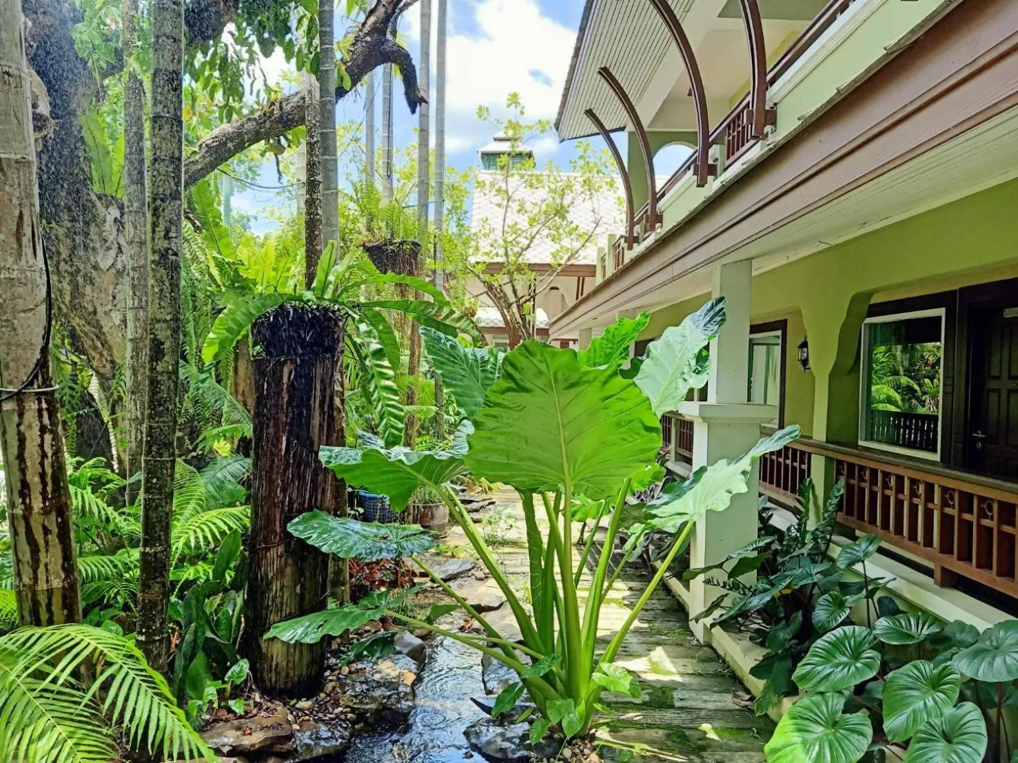 View (from property/room) in Rommai Greenpark