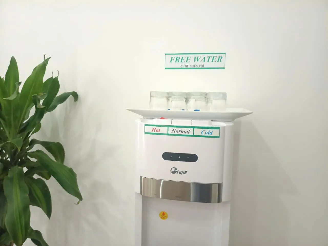 Restaurant/places to eat in catba island hotel