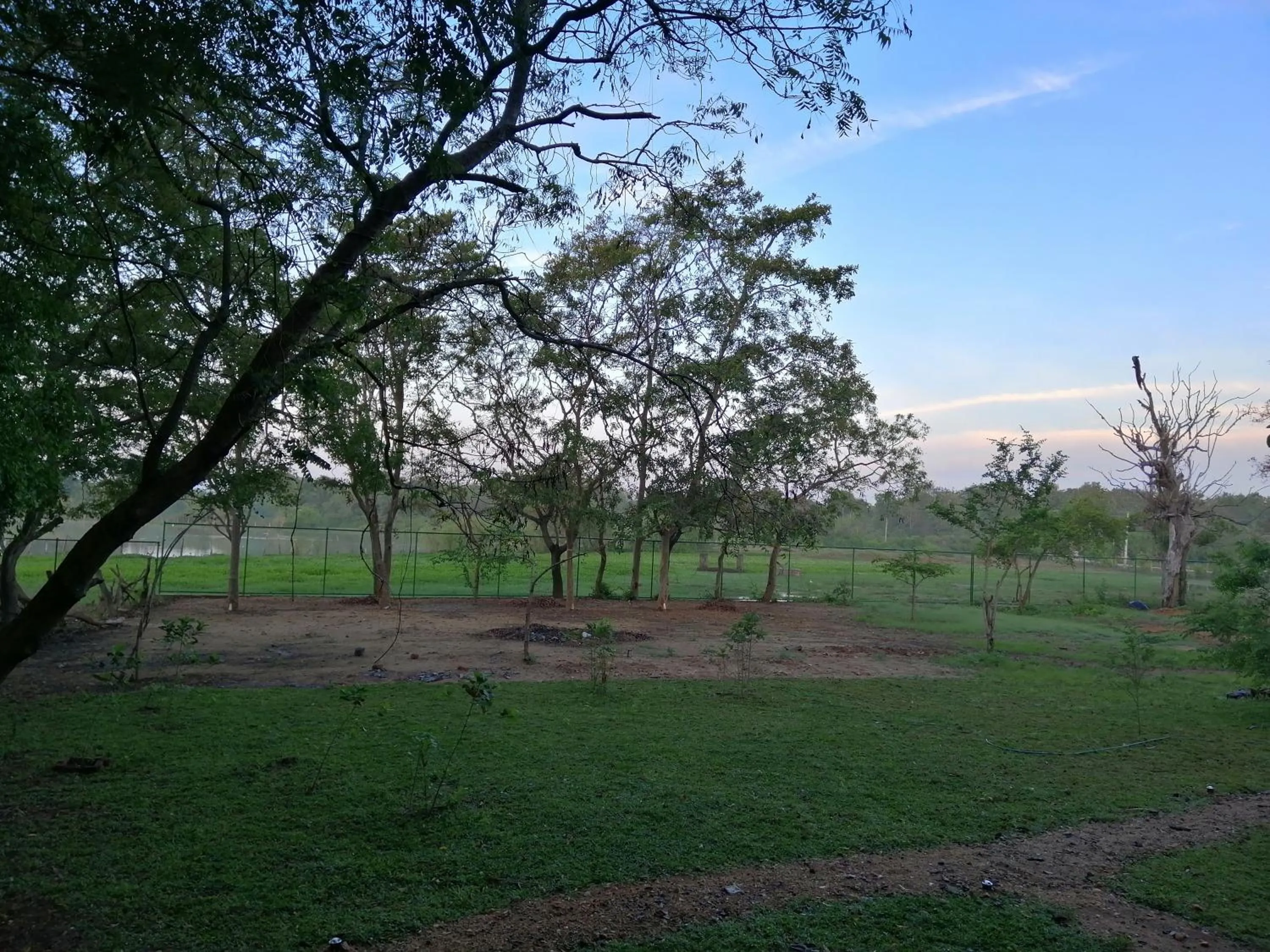 Natural landscape in Breezy Lake