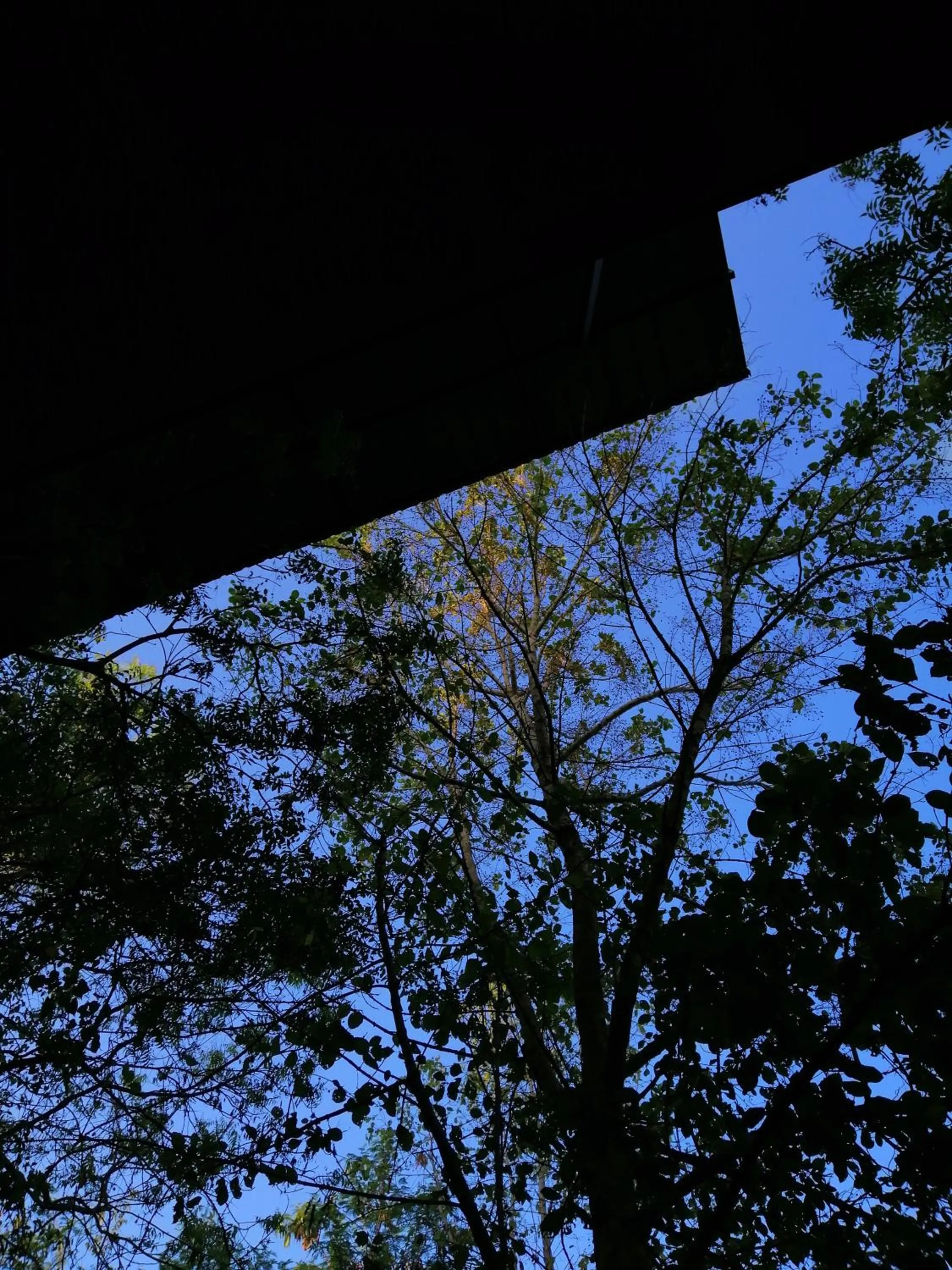 Natural landscape in Breezy Lake