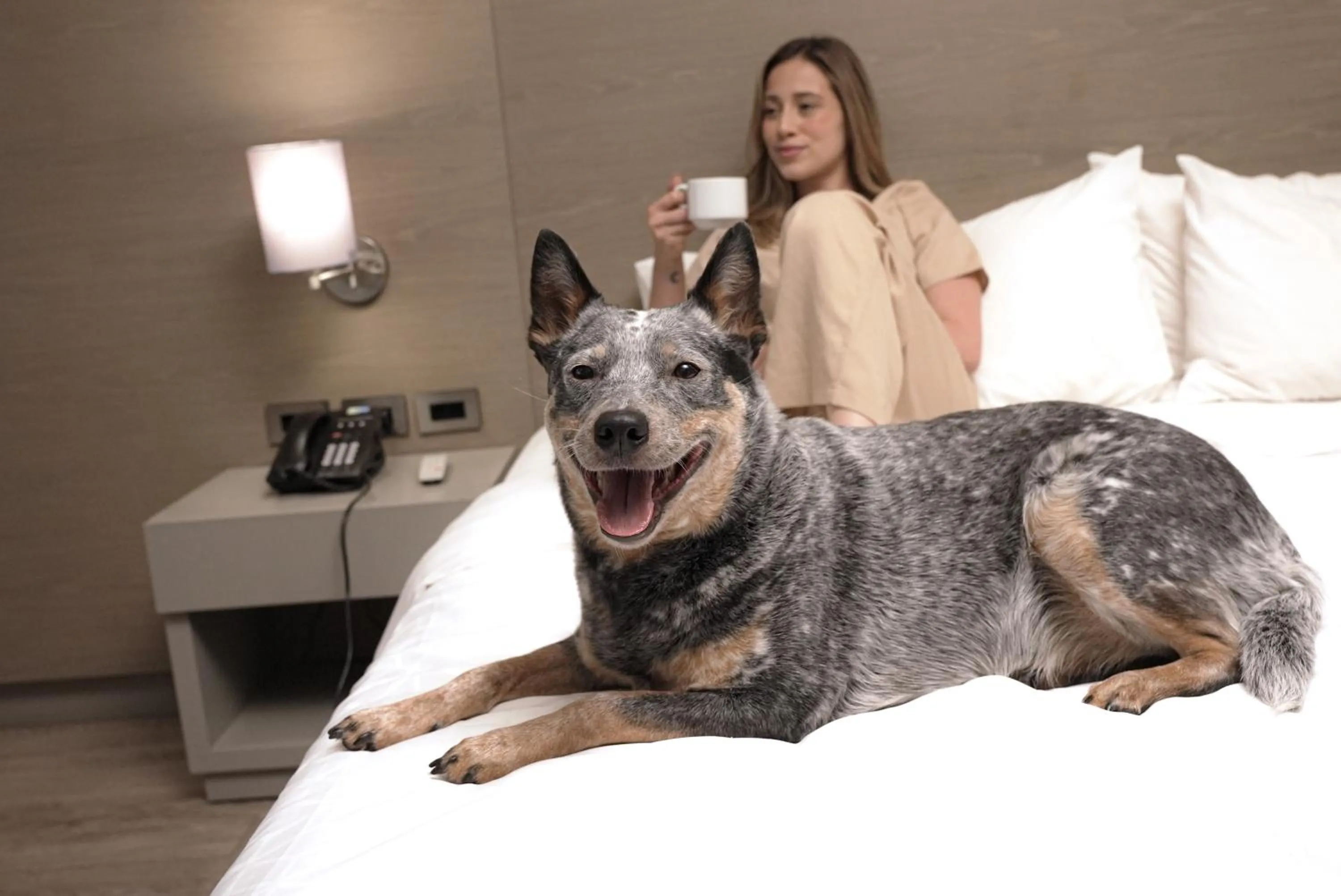 Other in Holiday Inn Express Bogotá - Parque La 93 by IHG