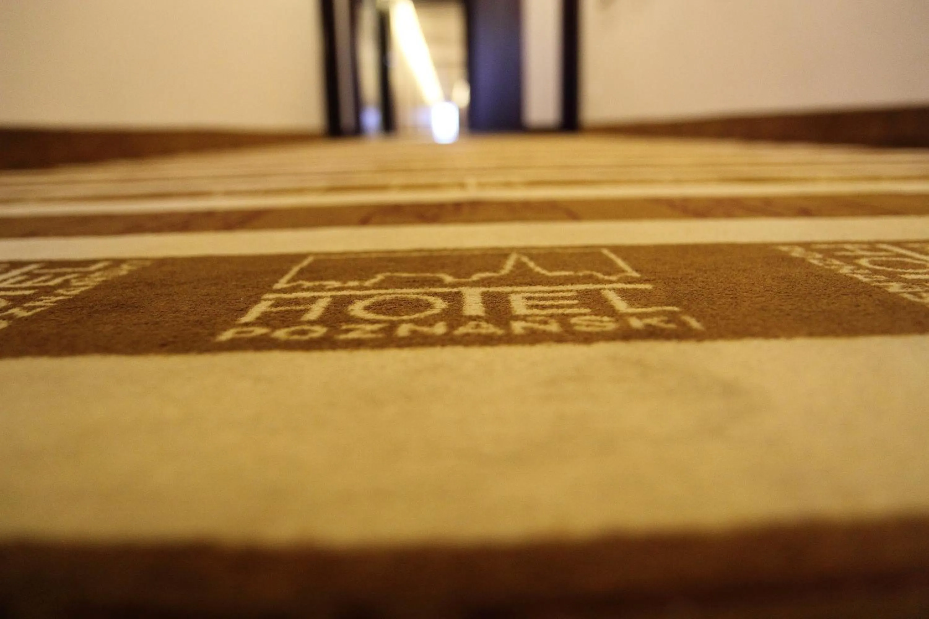 Decorative detail in Hotel Poznański A2