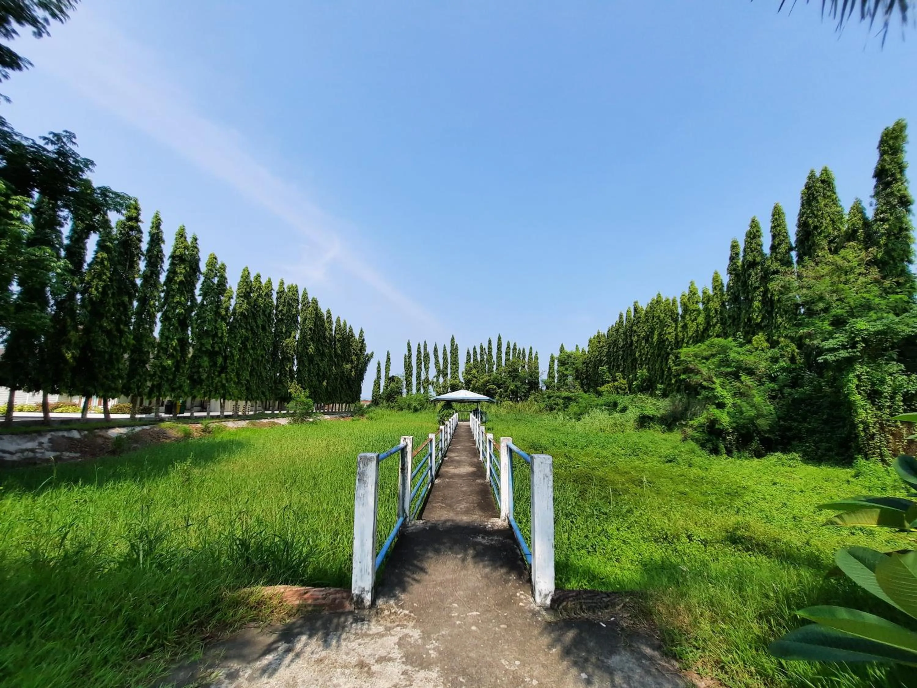 Natural landscape, Garden in The Farmhouse By EDL