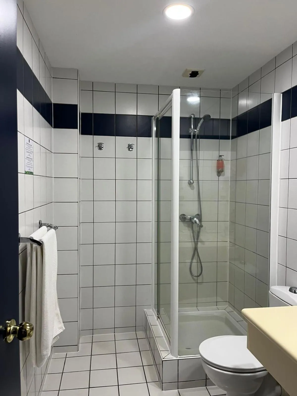 Shower in Hotel Le Paris