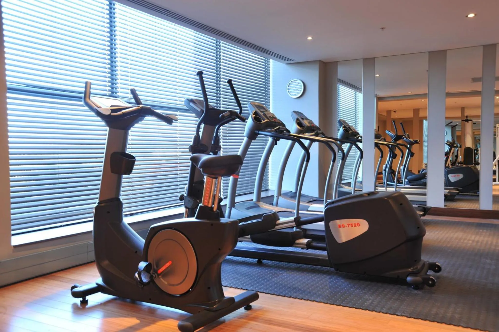 Fitness centre/facilities in Holiday Inn Johannesburg-Rosebank by IHG