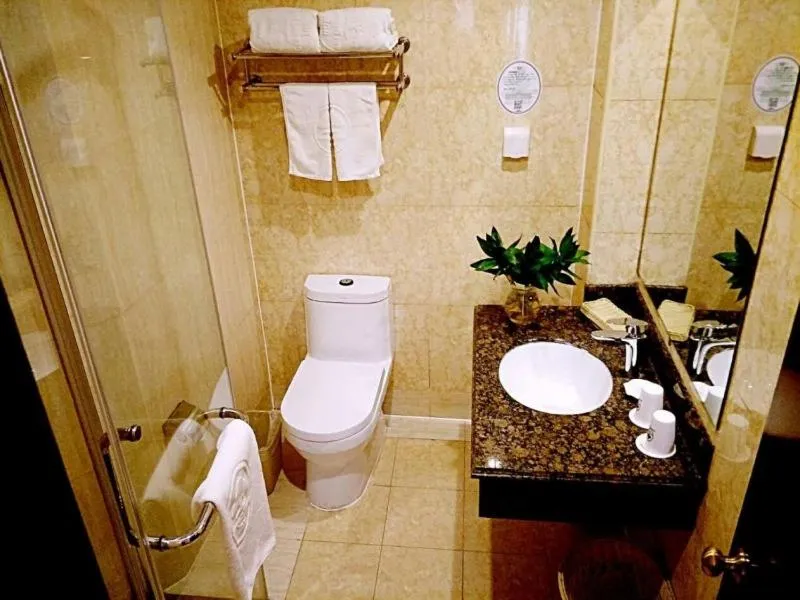 GreenTree Alliance Beijing Daxing District Jiugong Town Jiugong Subway Station Hotel