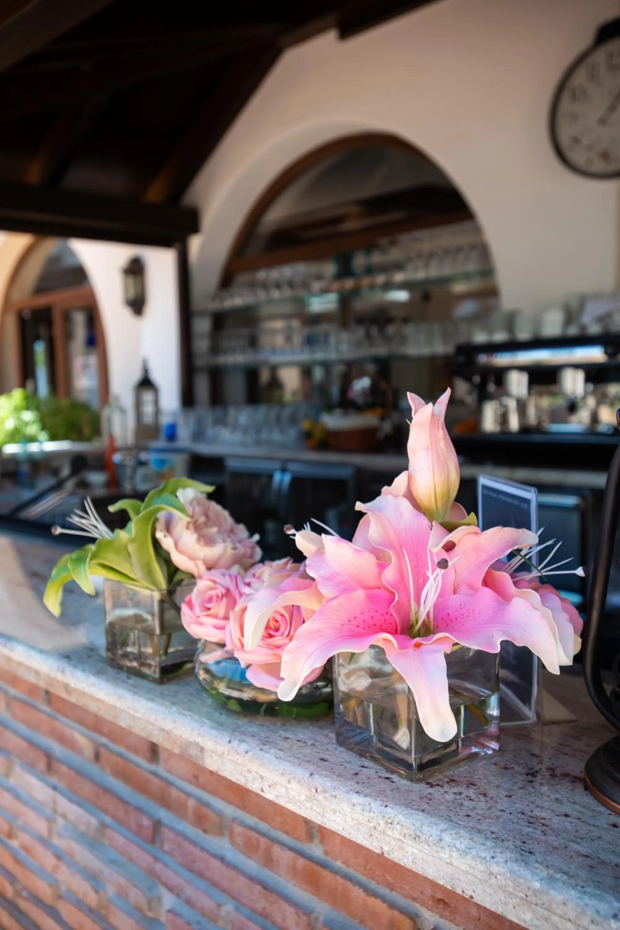 Lounge or bar in Paloma Blanca Boutique Hotel