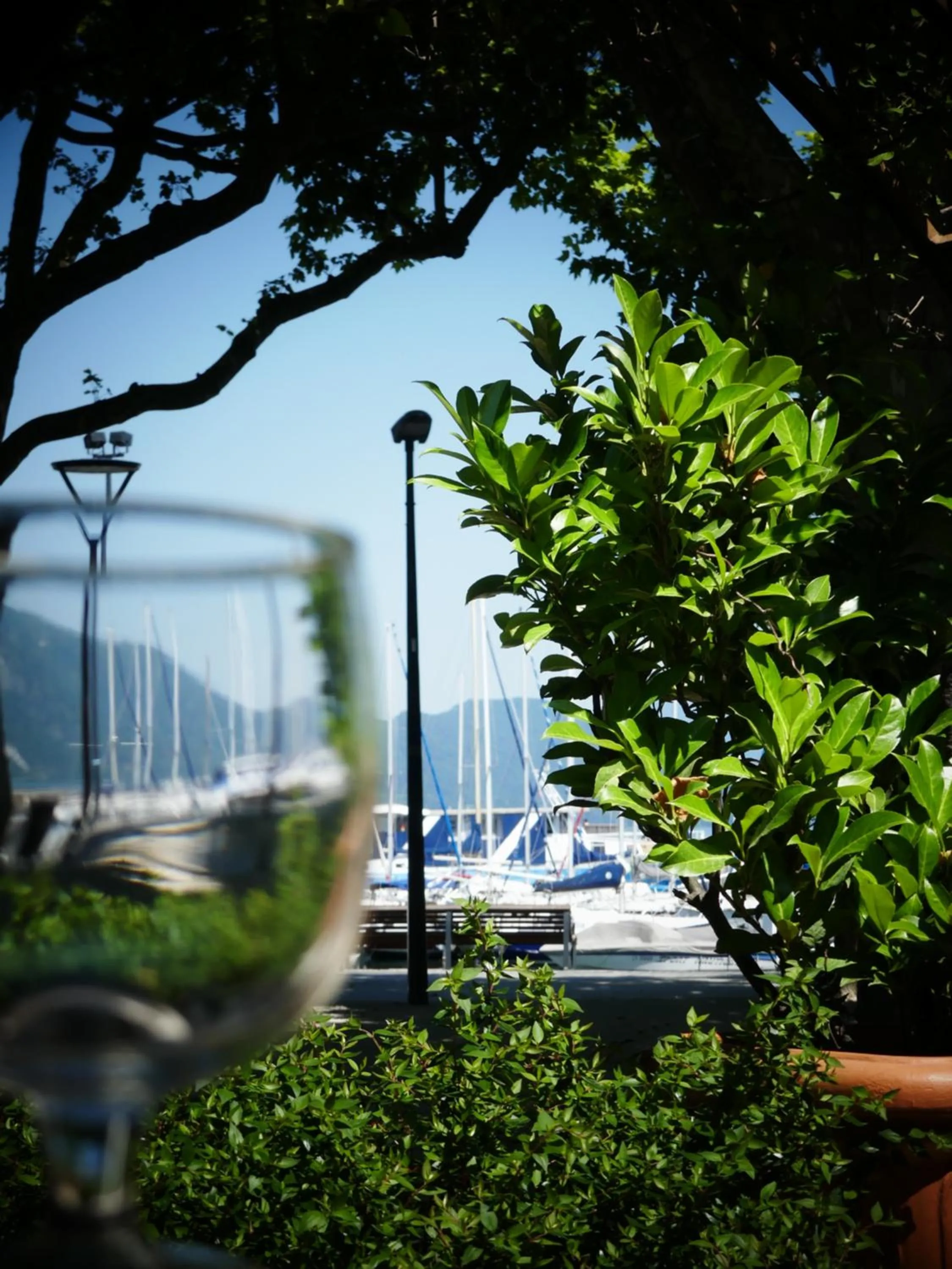 Restaurant/places to eat in Hotel Beau Rivage