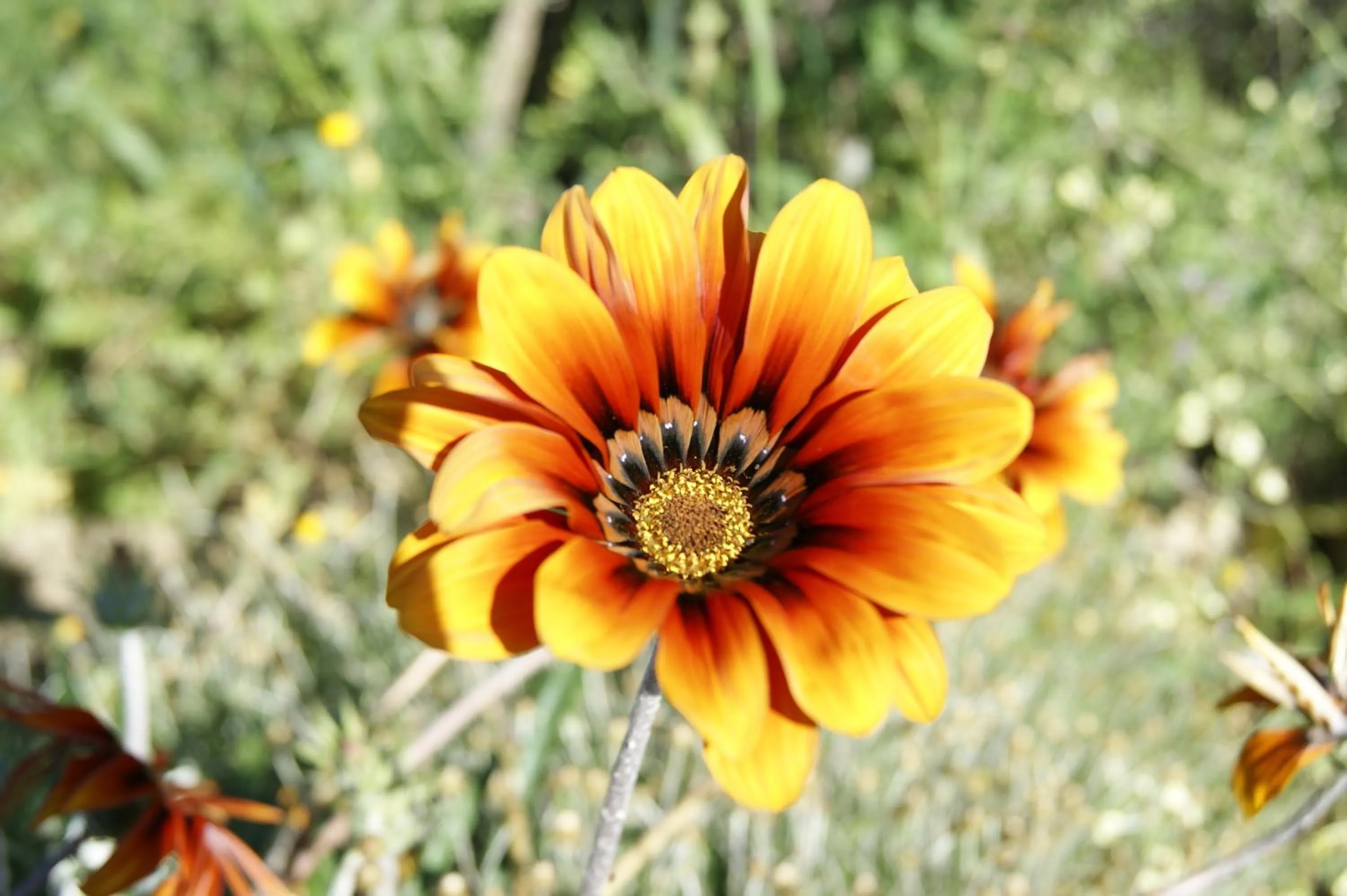 Other in Hotel La Borgata