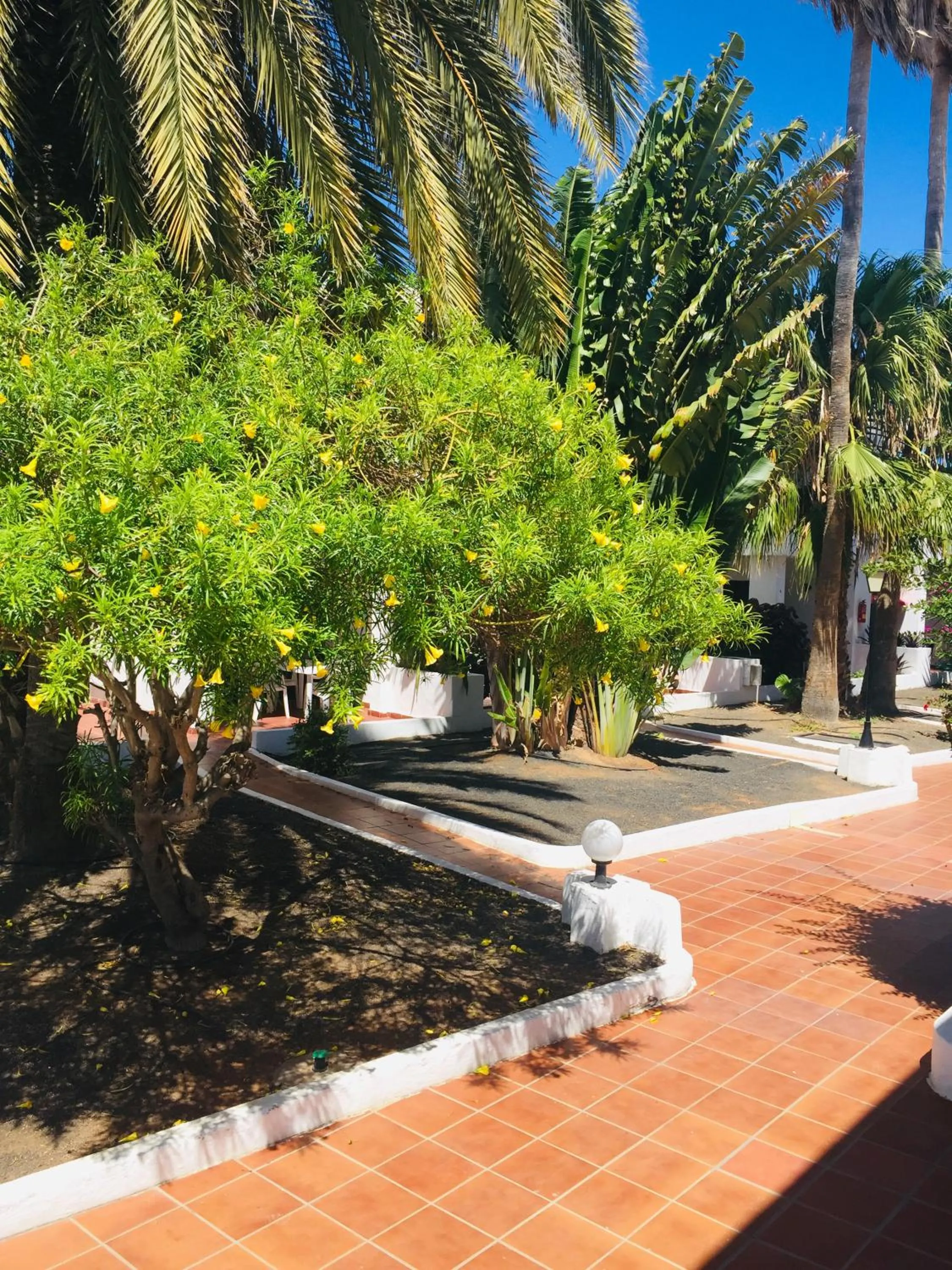 Apartamentos Maribel