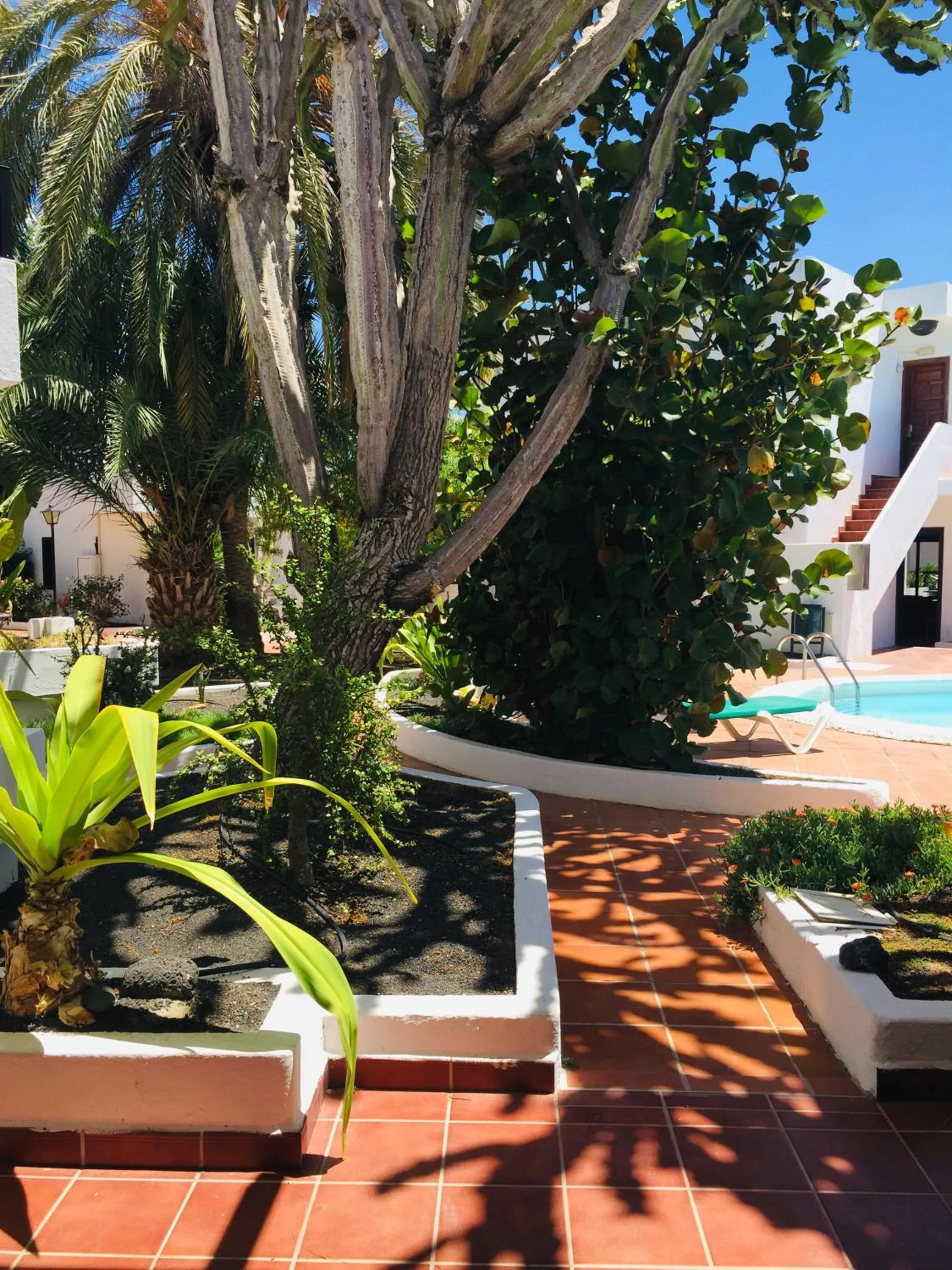 Decorative detail in Apartamentos Maribel