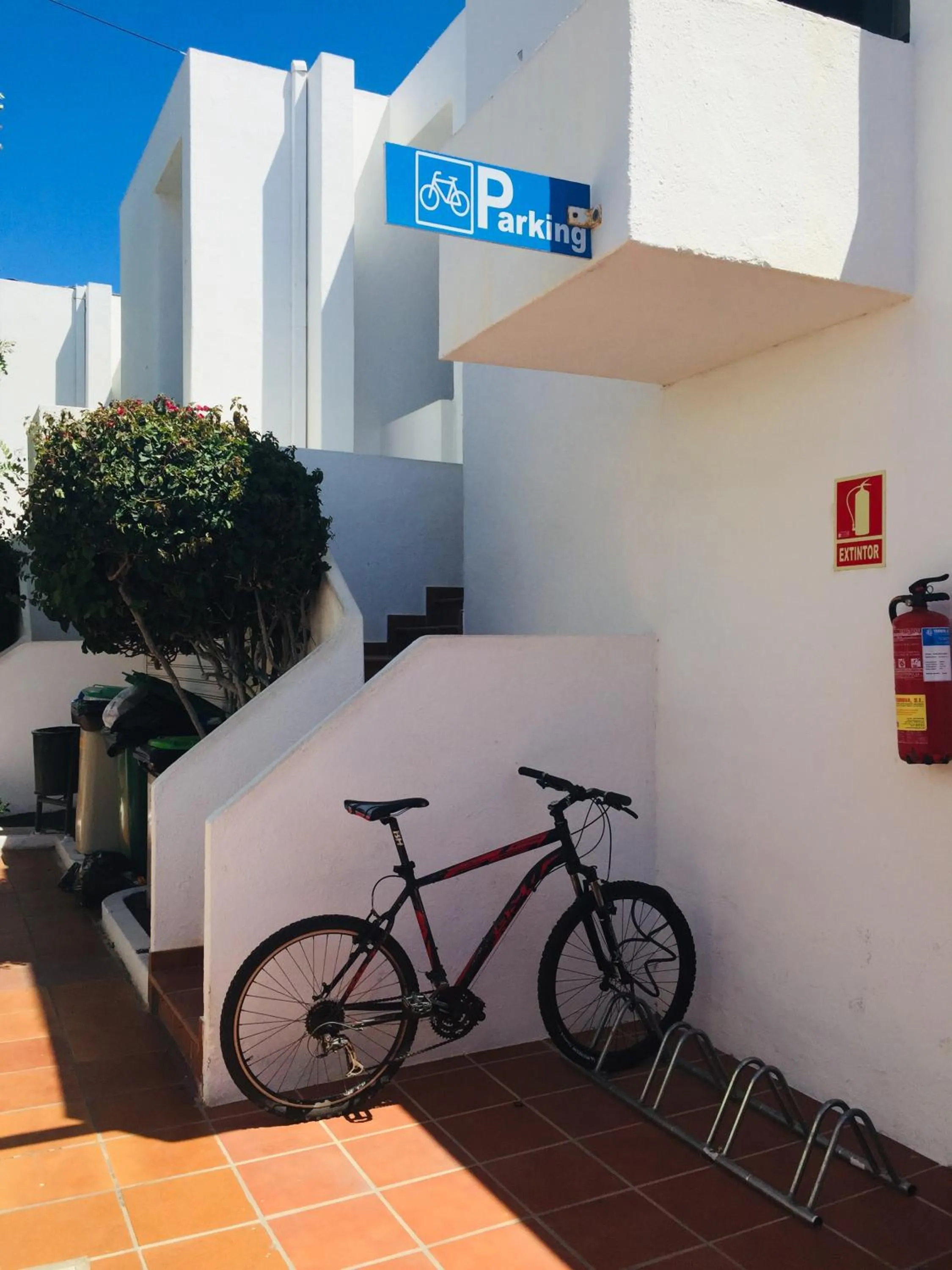 Activities in Apartamentos Maribel