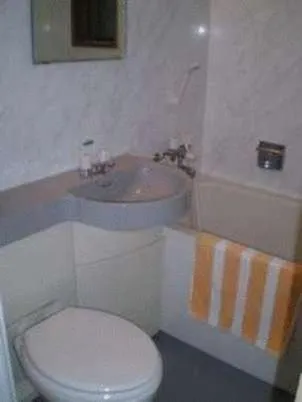 Bathroom in Ikawa Ryokan