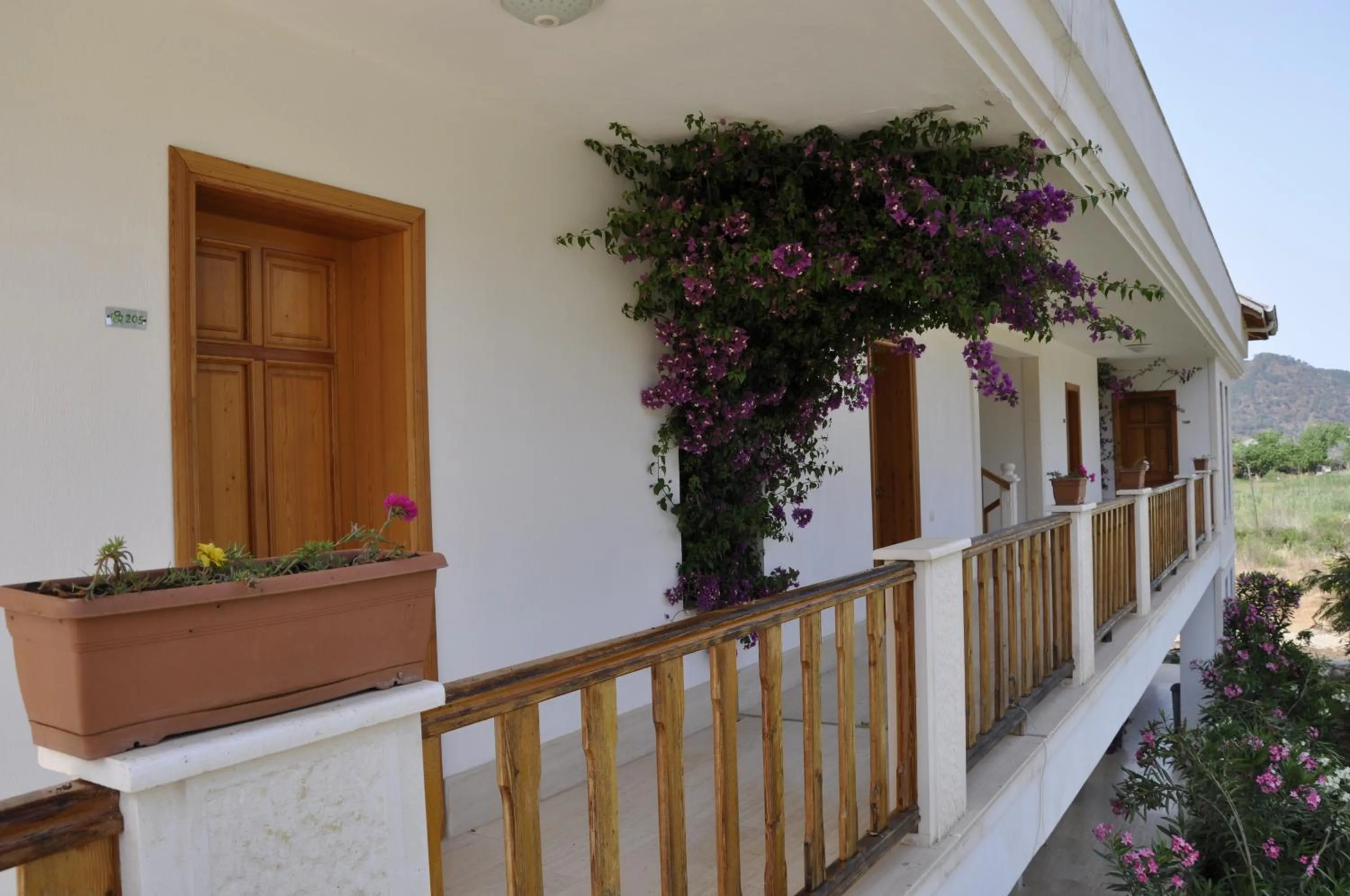 Facade/entrance in Yonca Hotel