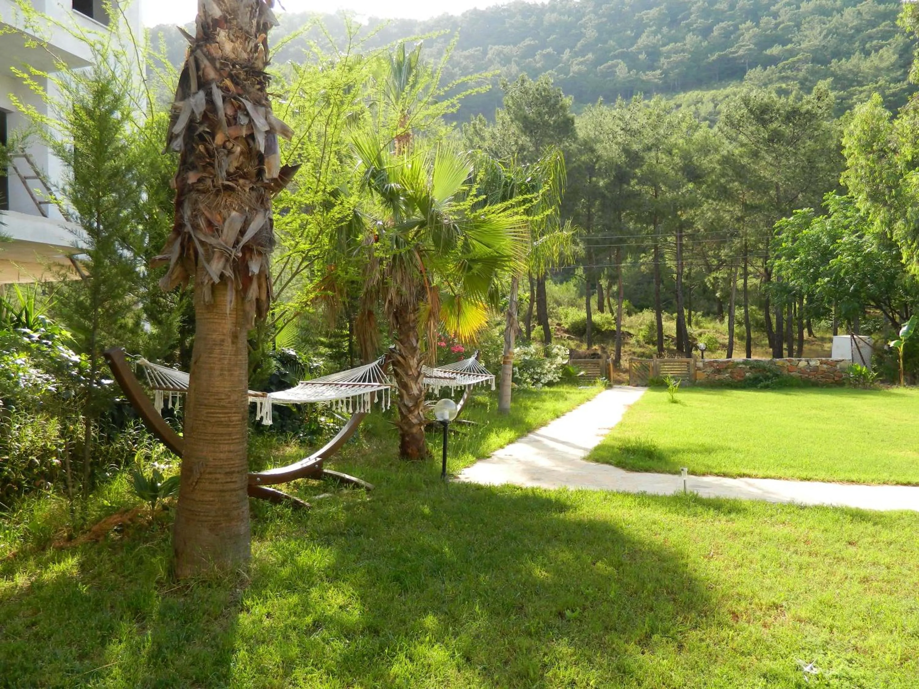 Garden in Yonca Hotel