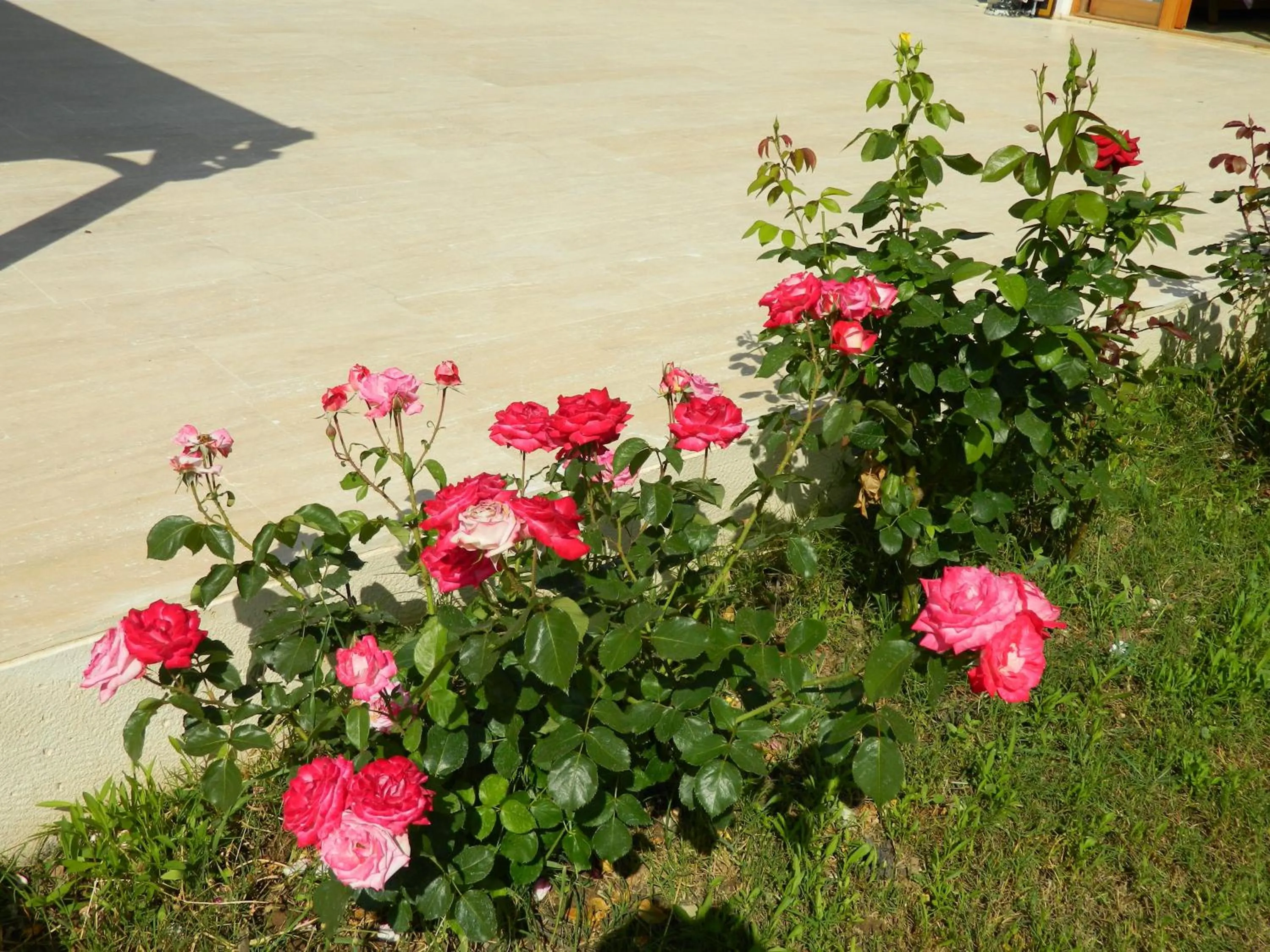 Decorative detail in Yonca Hotel