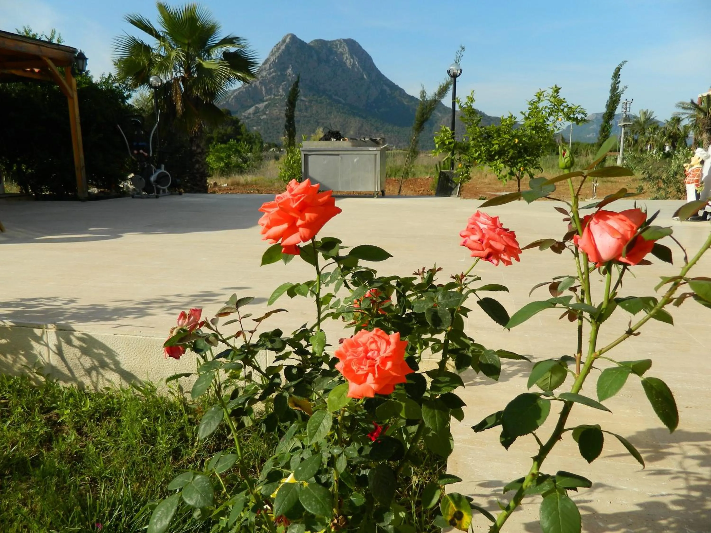 Other in Yonca Hotel