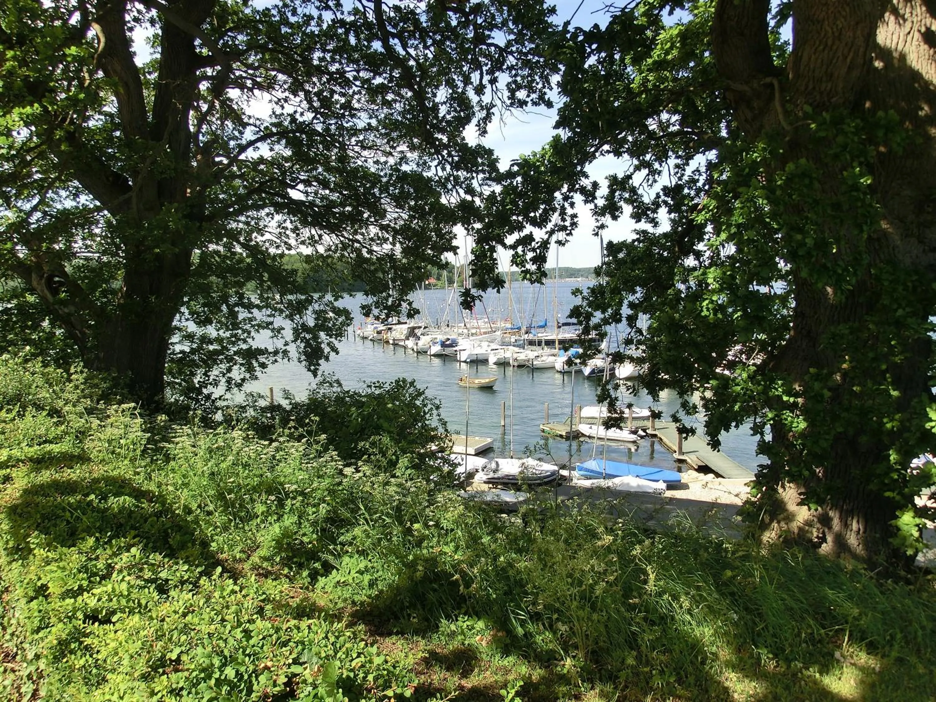 Sea view in Hotel Troense