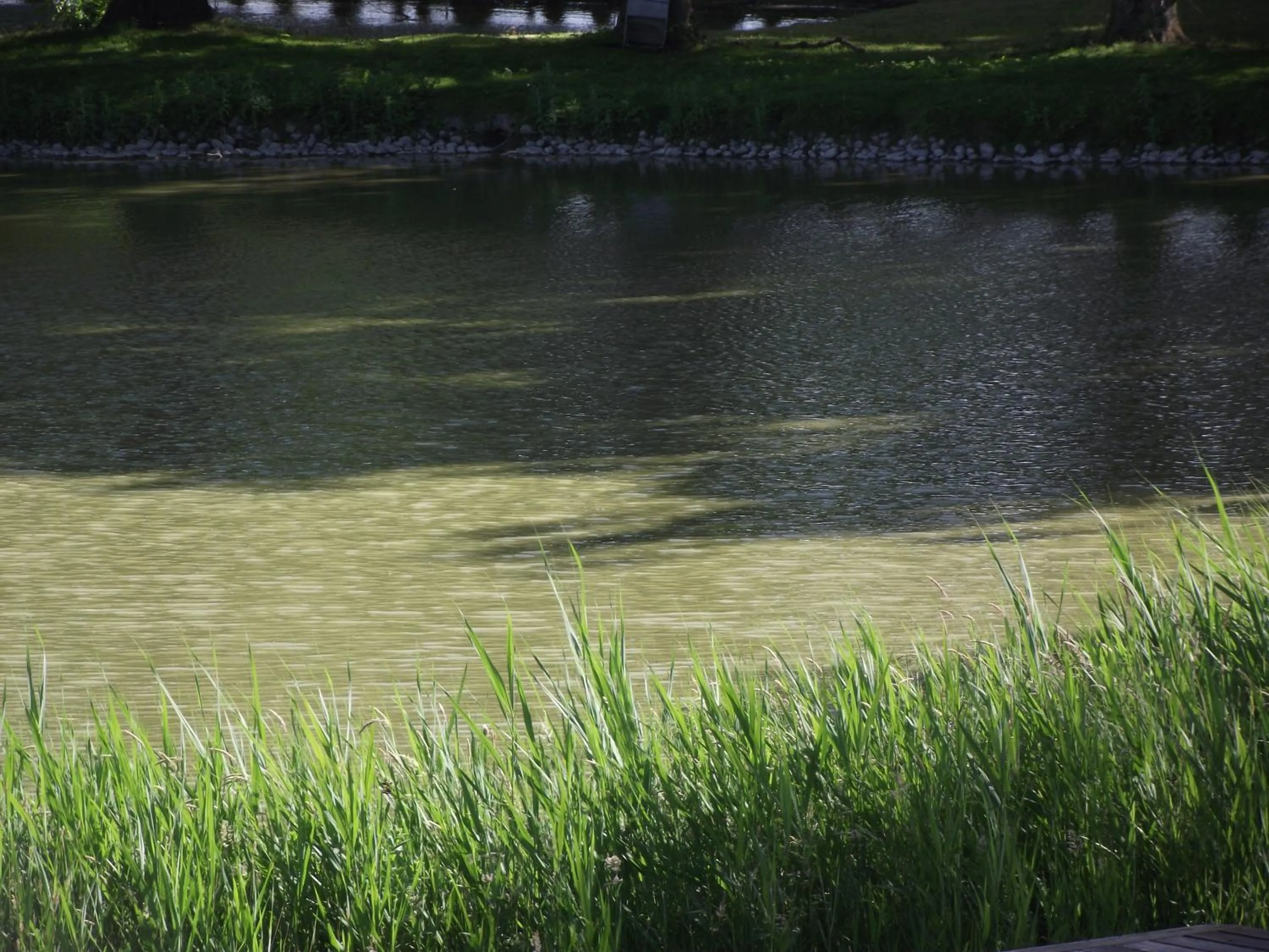 Les Portes des Froises