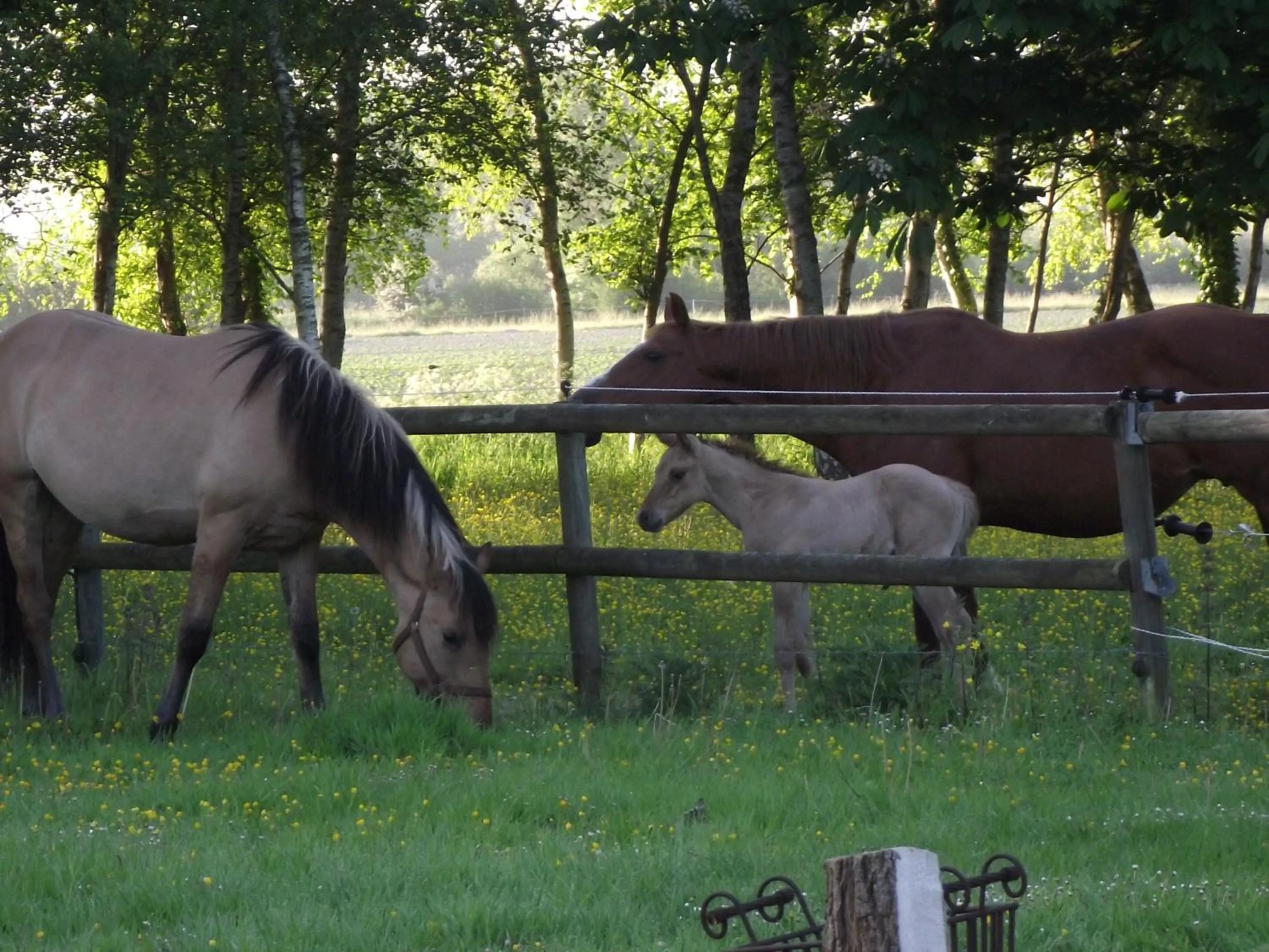 Les Portes des Froises
