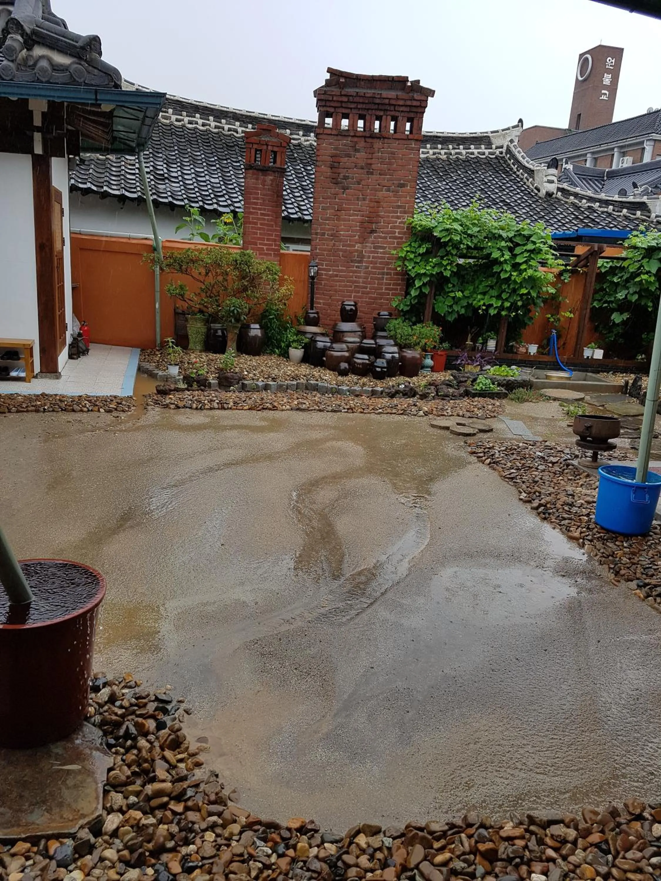 Garden view in The Hanok
