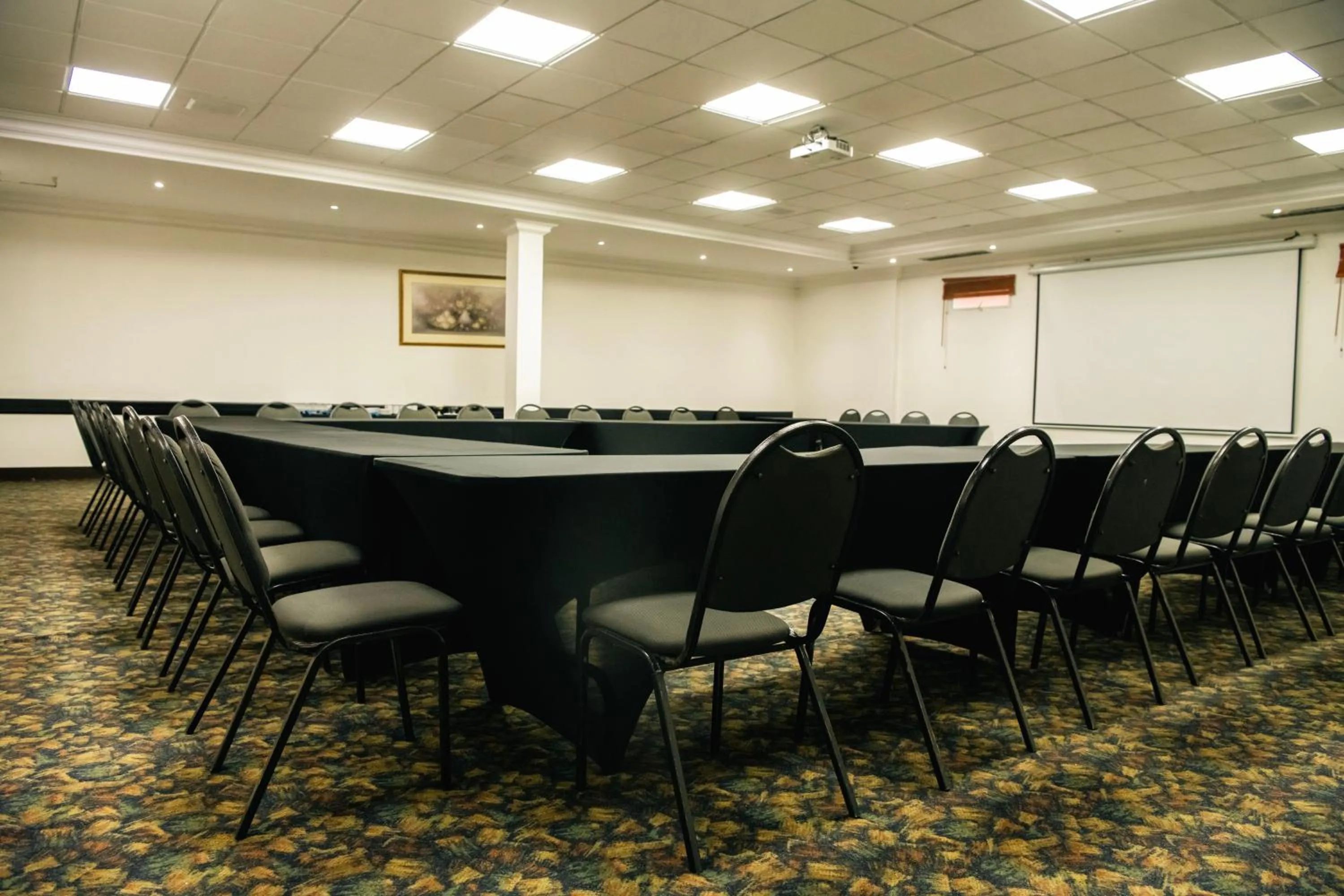 Meeting/conference room in Hotel Dann Av. 19
