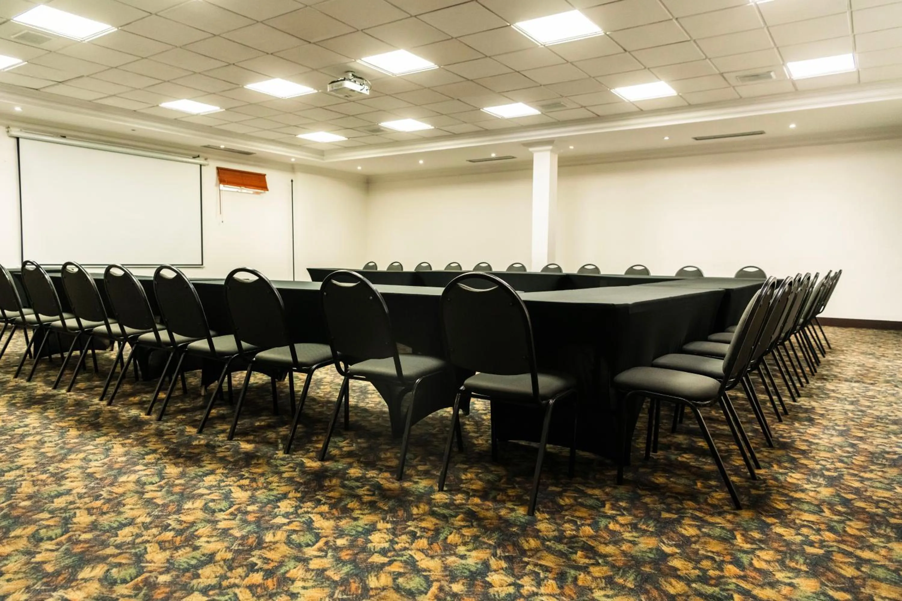 Meeting/conference room in Hotel Dann Av. 19