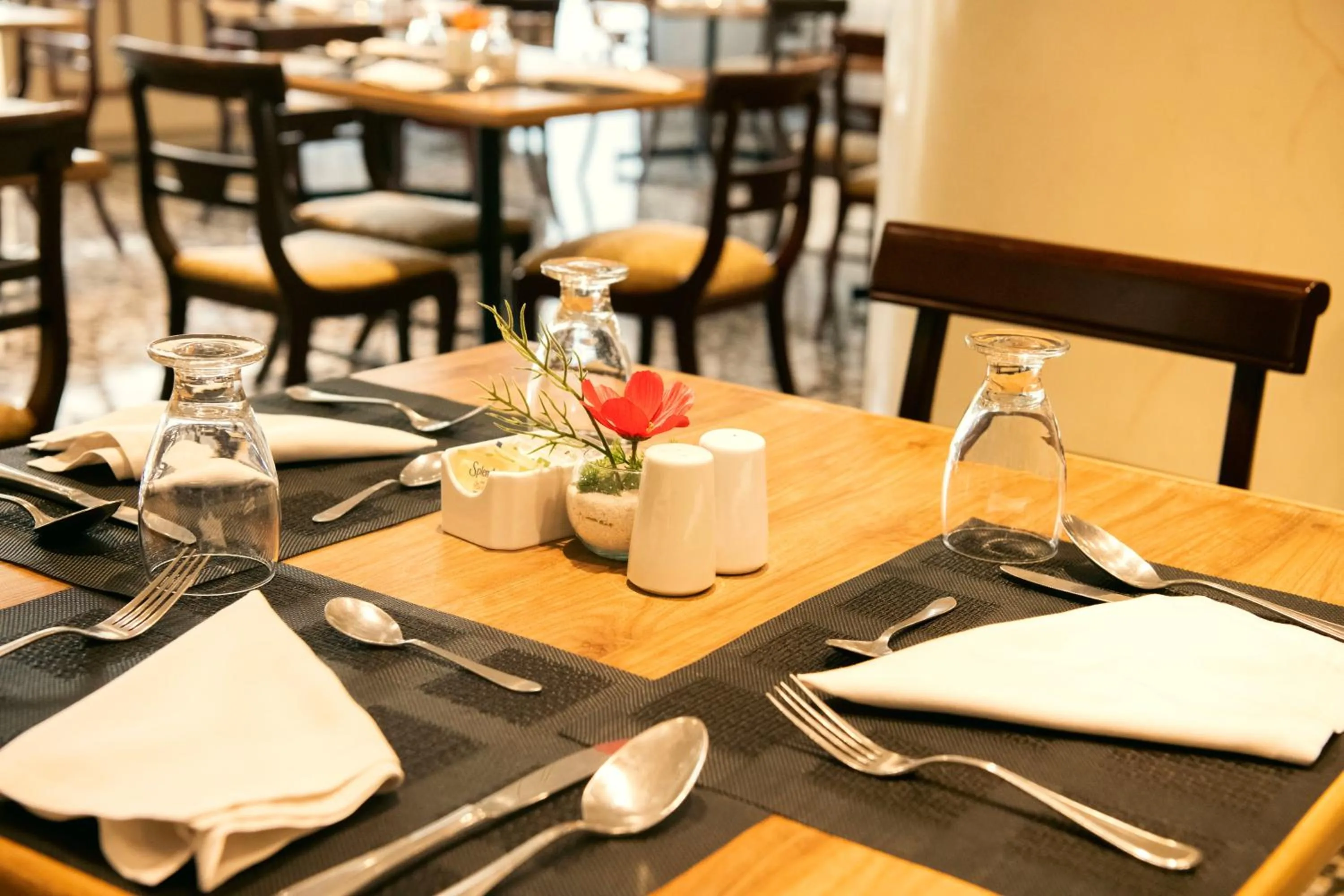 Restaurant/places to eat in Hotel Dann Av. 19