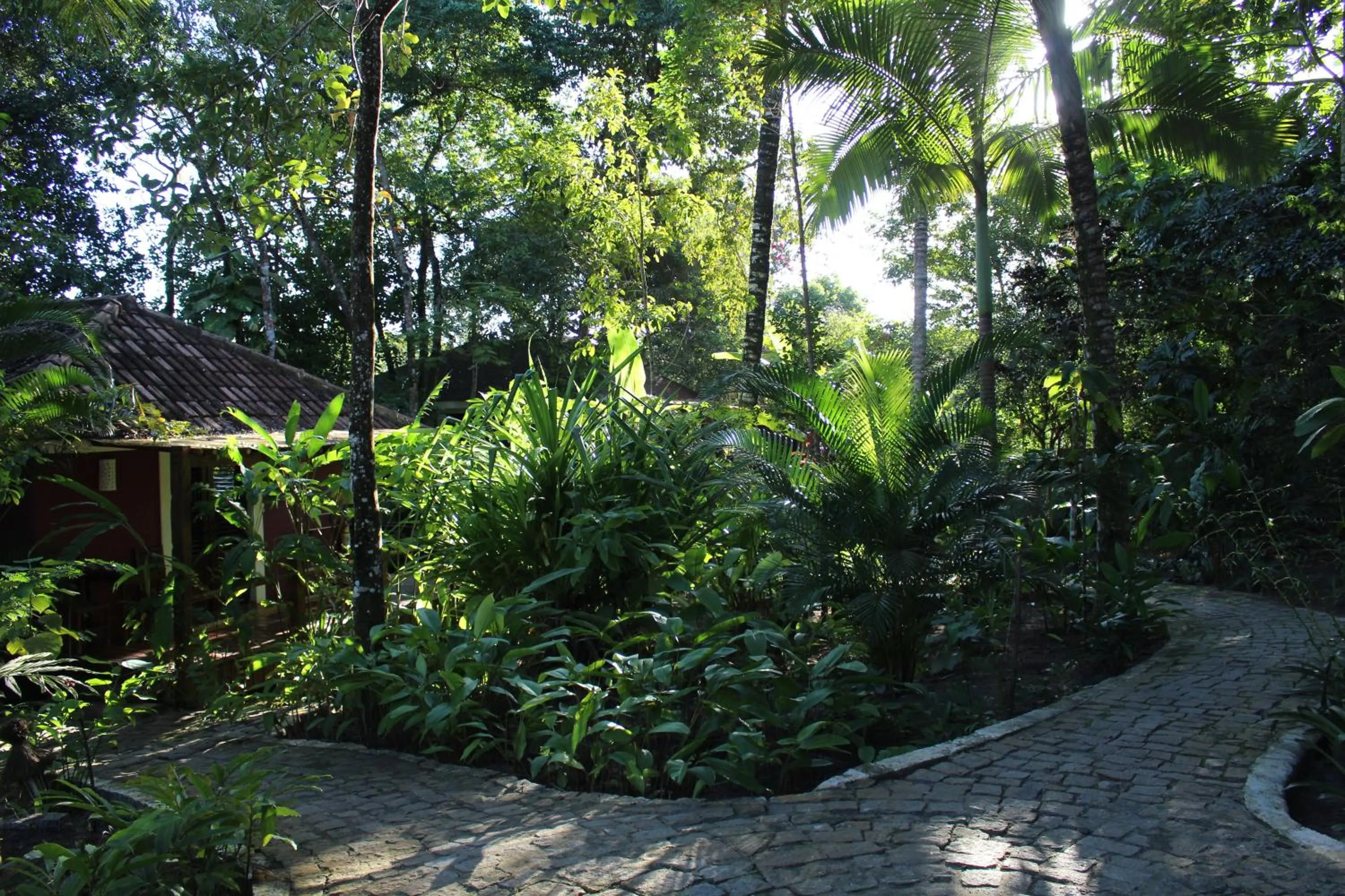 Garden view in Pousada Calypso