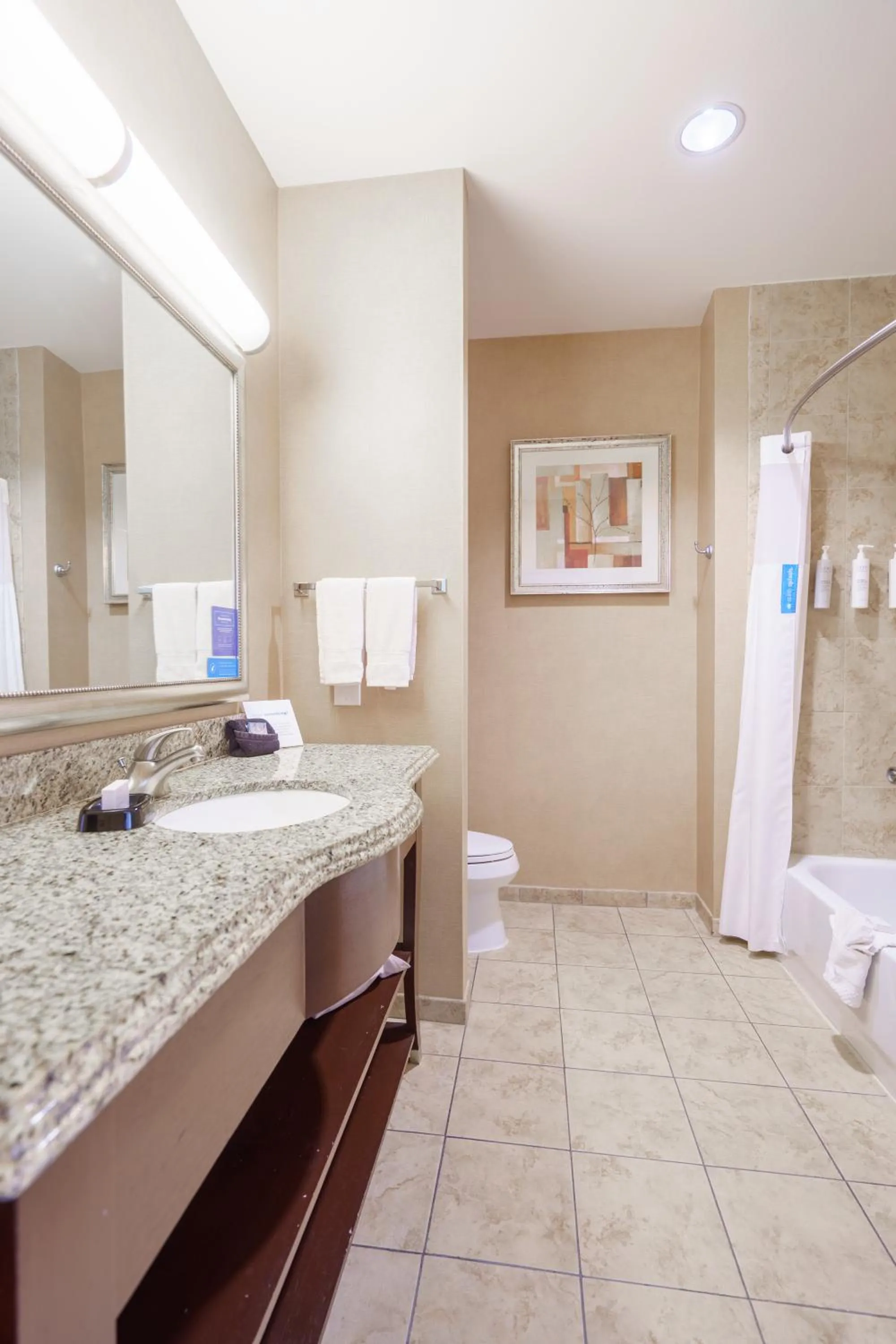 Hampton Inn & Suites Abilene I-20