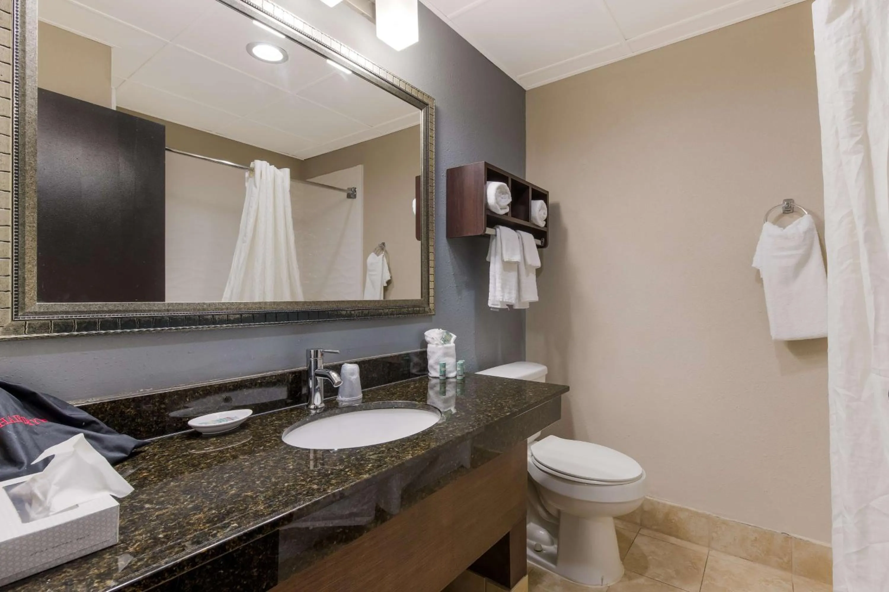 Bathroom in Best Western Albemarle Inn