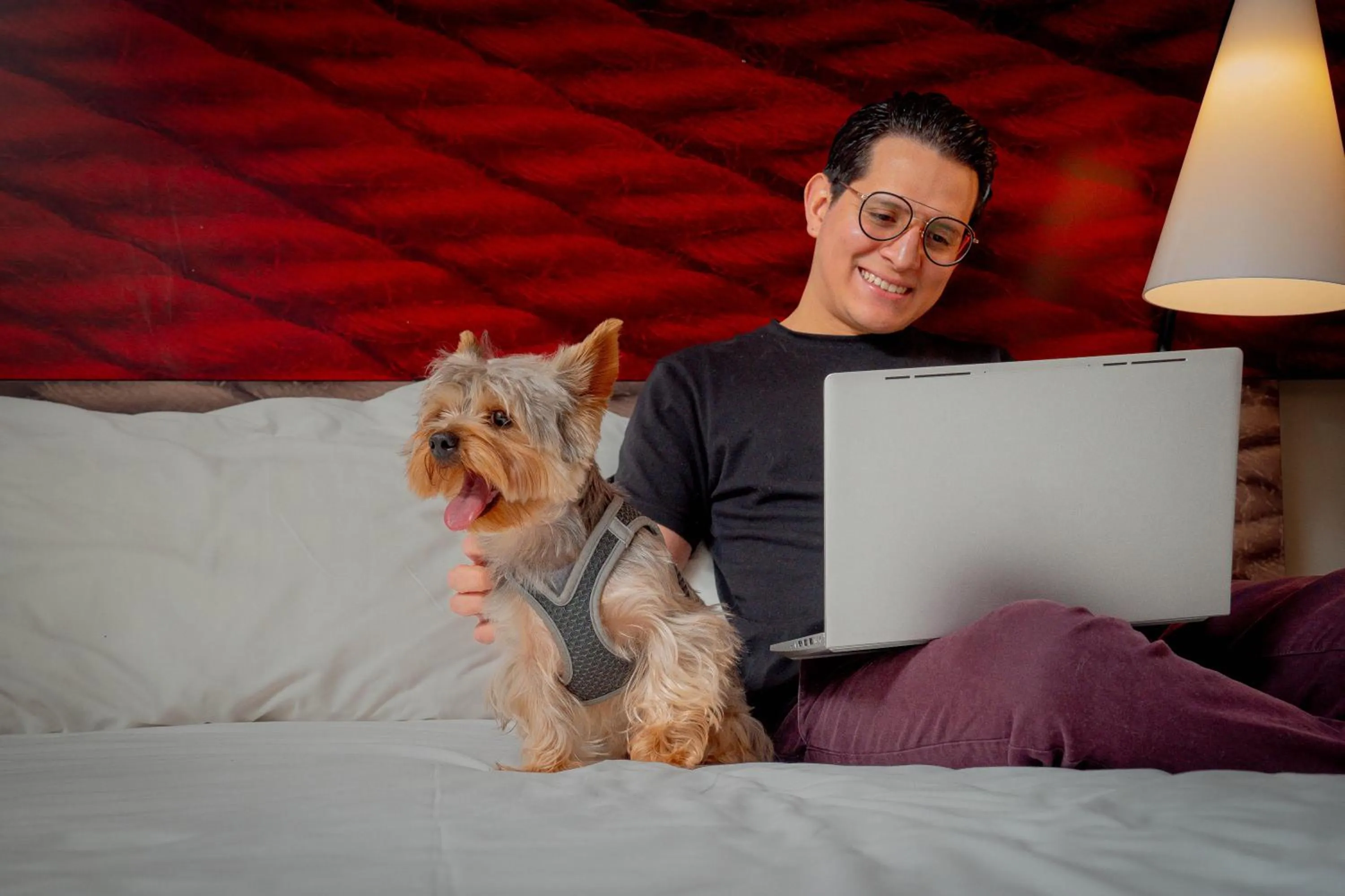 Property building in ibis Copiapo