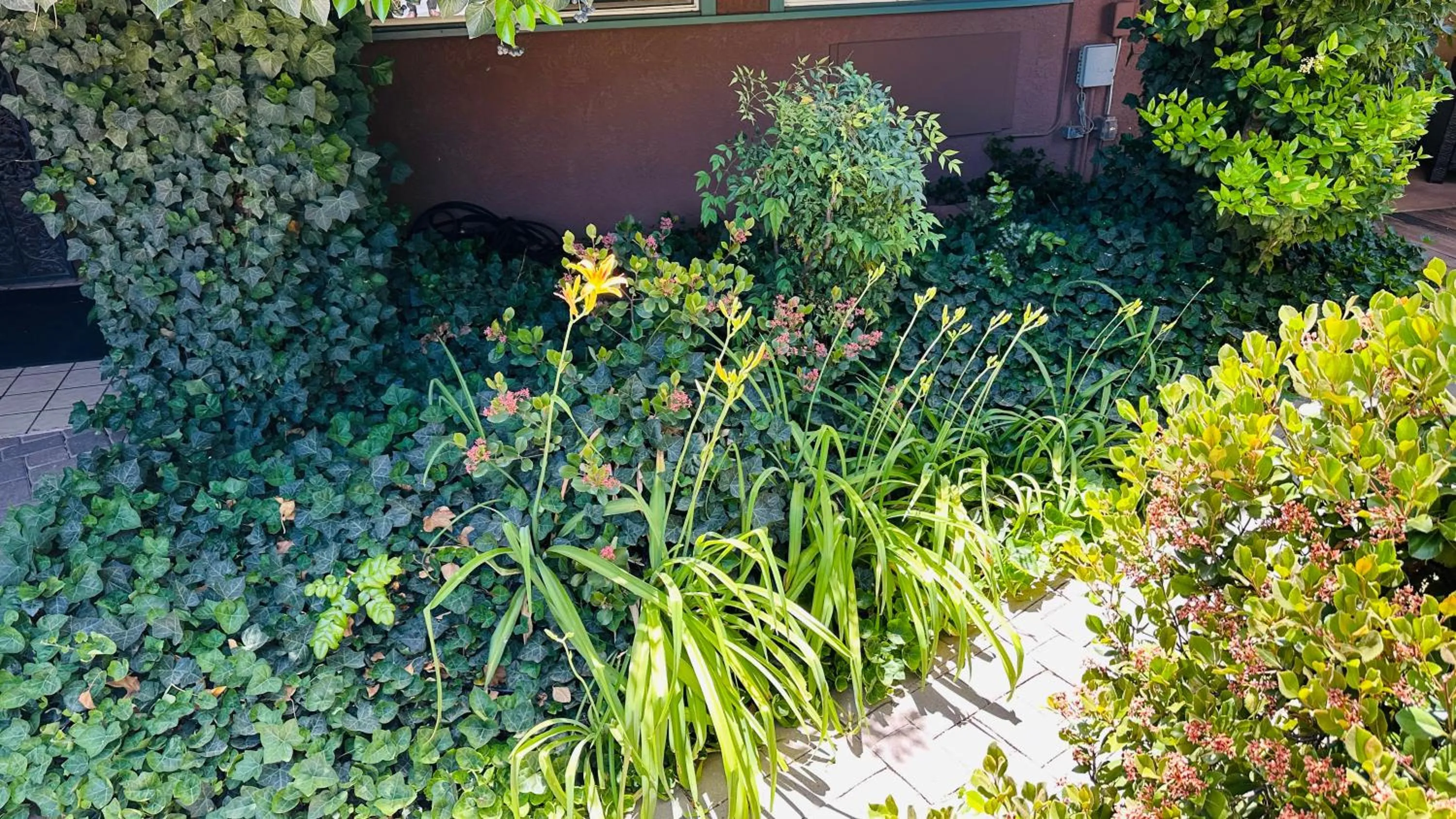 Lantern Light Inn - Romantic Getaway