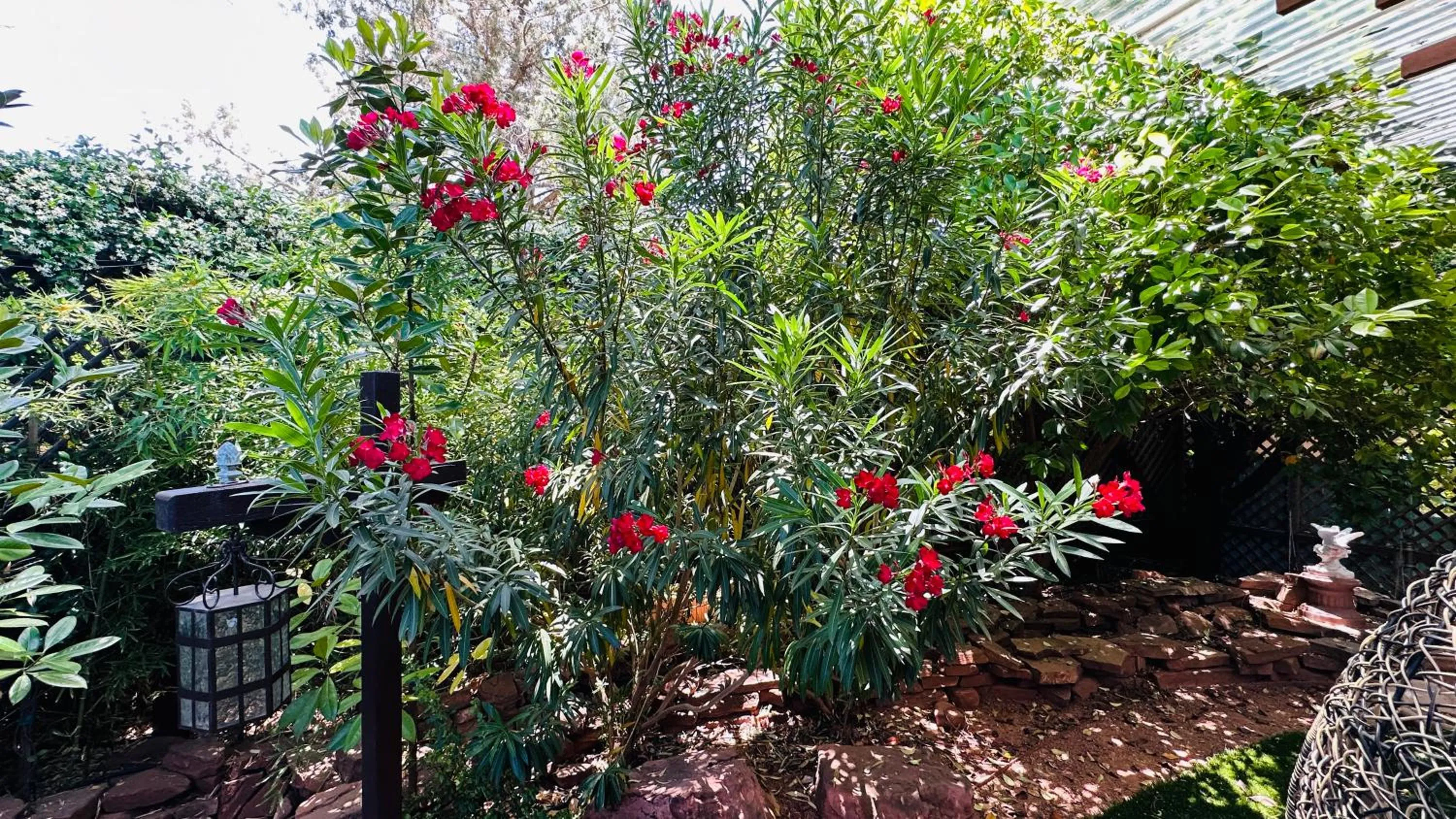 Lantern Light Inn - Romantic Getaway