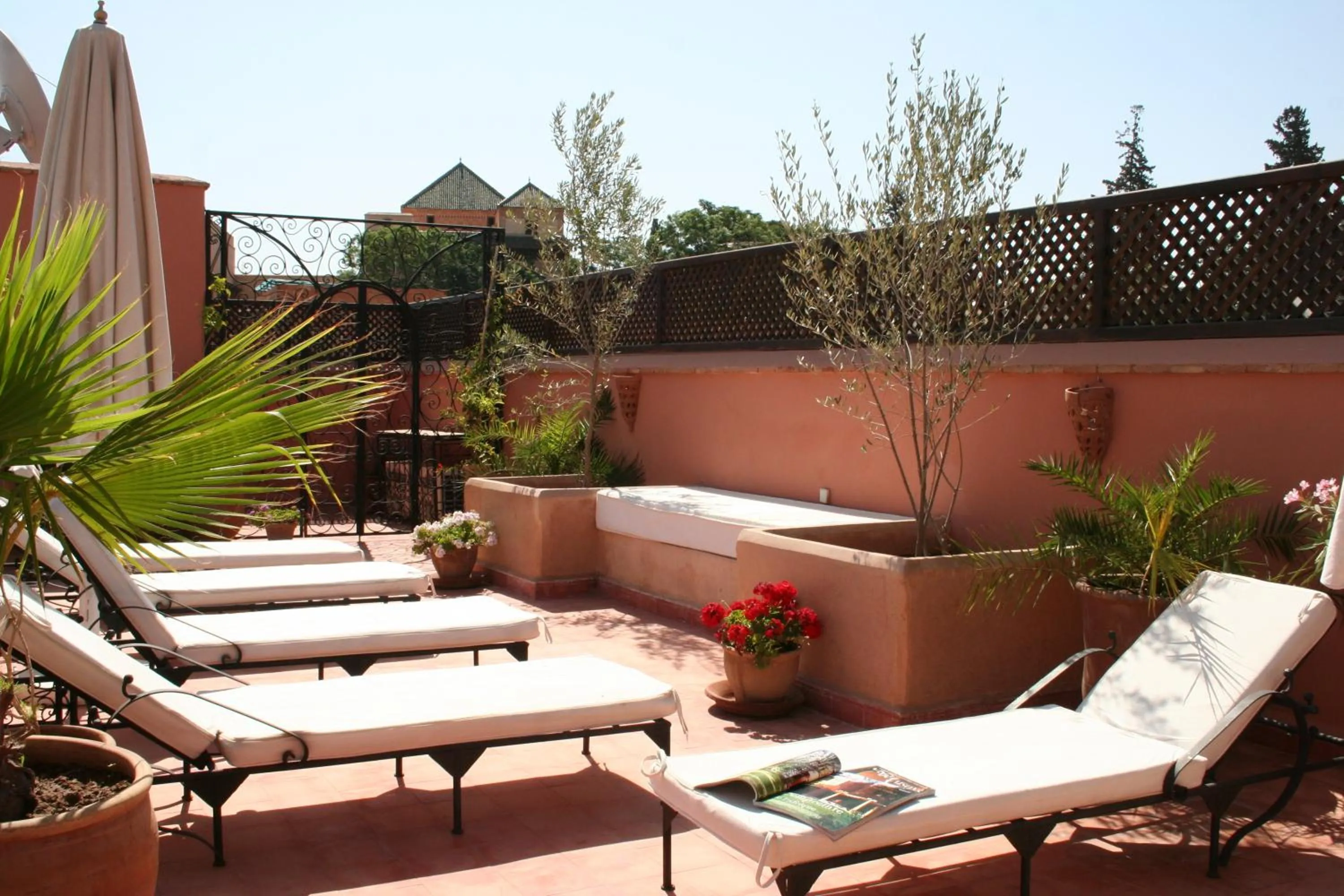 Balcony/Terrace in Riad Sofia
